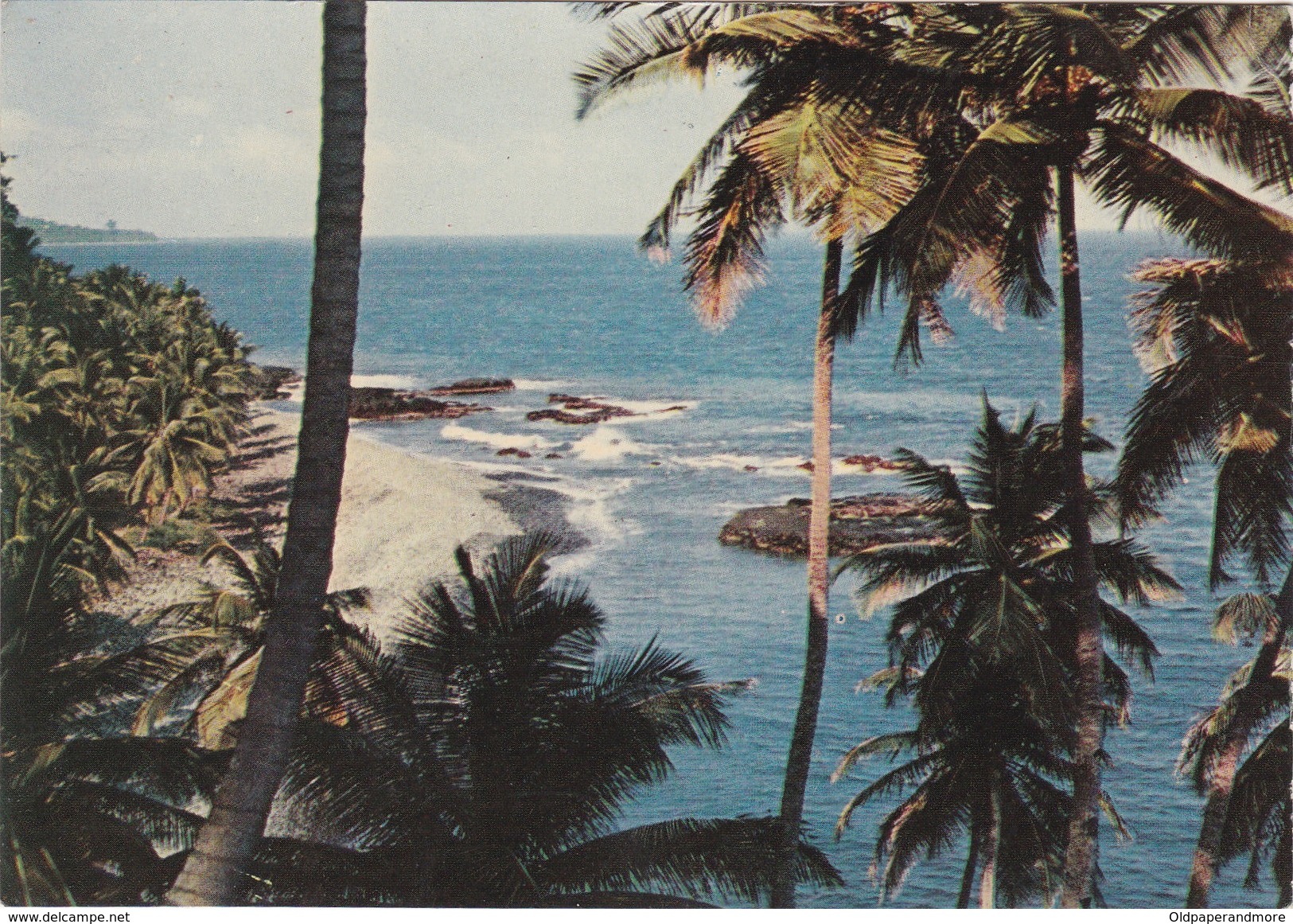 POSTCARD AFRICA - SÃO TOMÉ AND PRINCIPE - NORTE - PONTA DE DIOGO VAZ - Sao Tome Et Principe