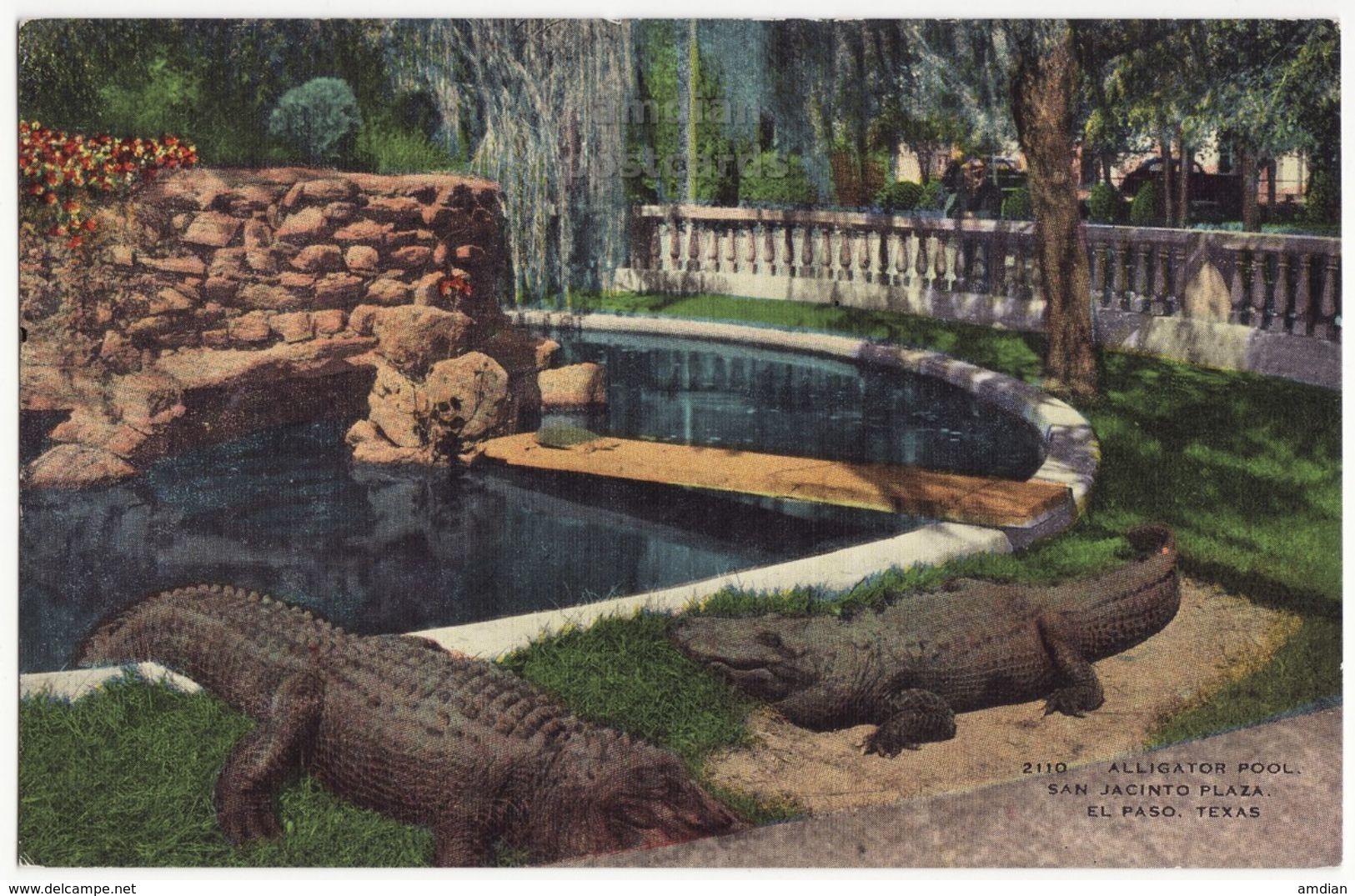 USA, El Paso TX, Alligator Pool, San Jacinto Plaza, C1940s Unused Vintage Texas Postcard M8757 - El Paso