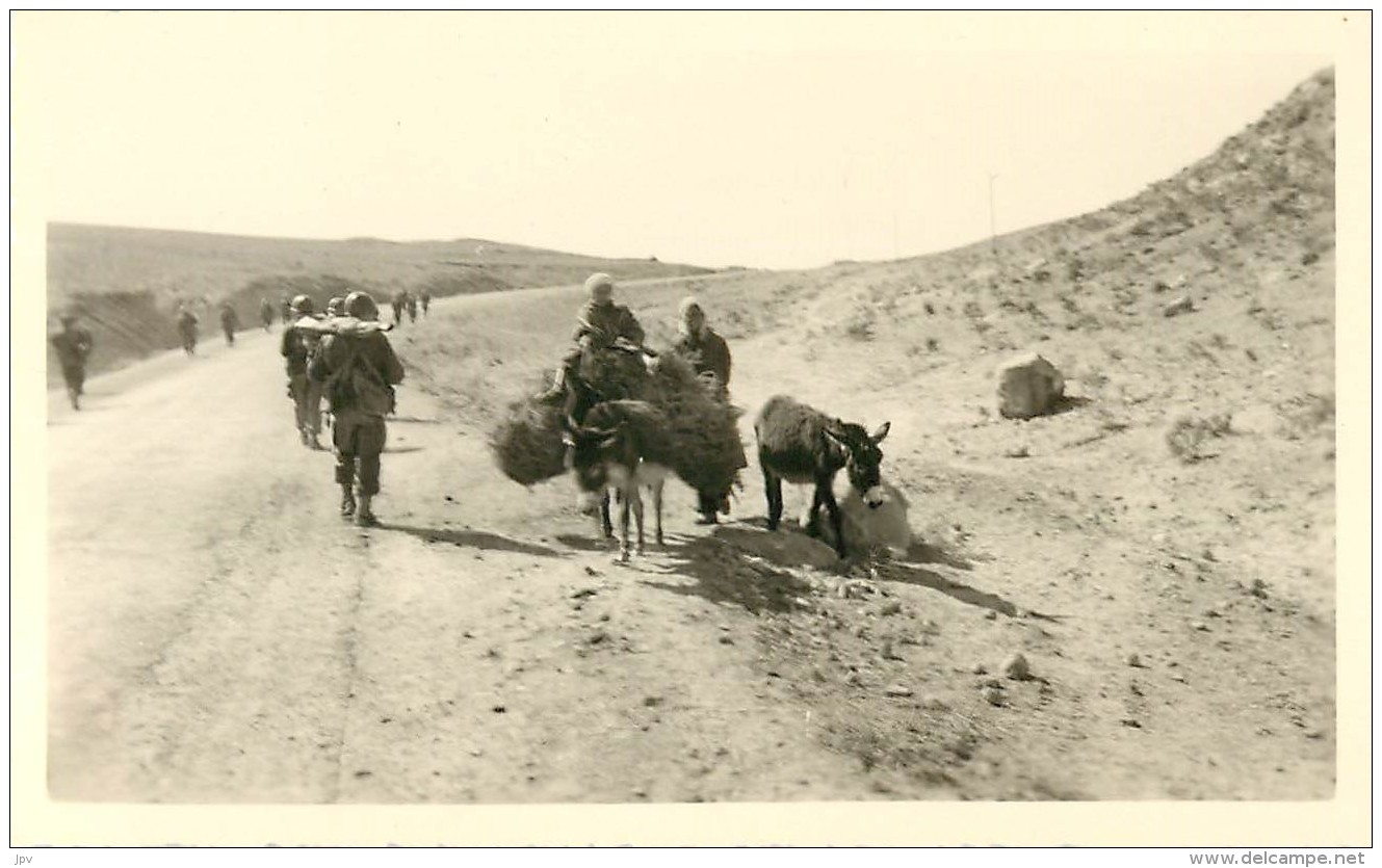 LOT DE 8 PHOTOS ALGERIE. + 2 CARTES DE VOEUX D'ALGER. - Afrique