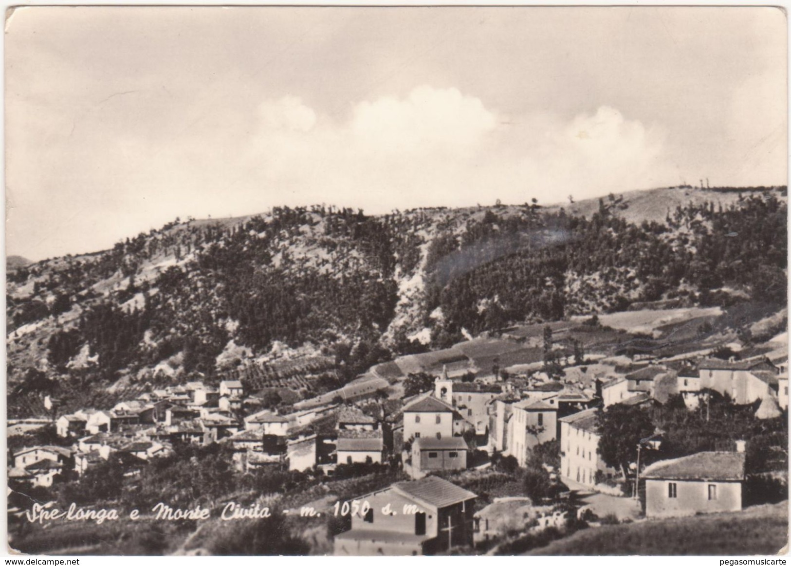 097 SPELONGA SPE LONGA E MONTE CIVITA ARQUATA DEL TRONTO ASCOLI PICENO 1962 - Ascoli Piceno