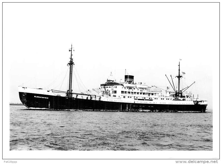 " BLOEMFONTEIN " ( NL Real Photo - Carte Photo ) BATEAUX DE COMMERCE Merchant Ship - CPSM GF Bateau Cargo Tanker - Comercio