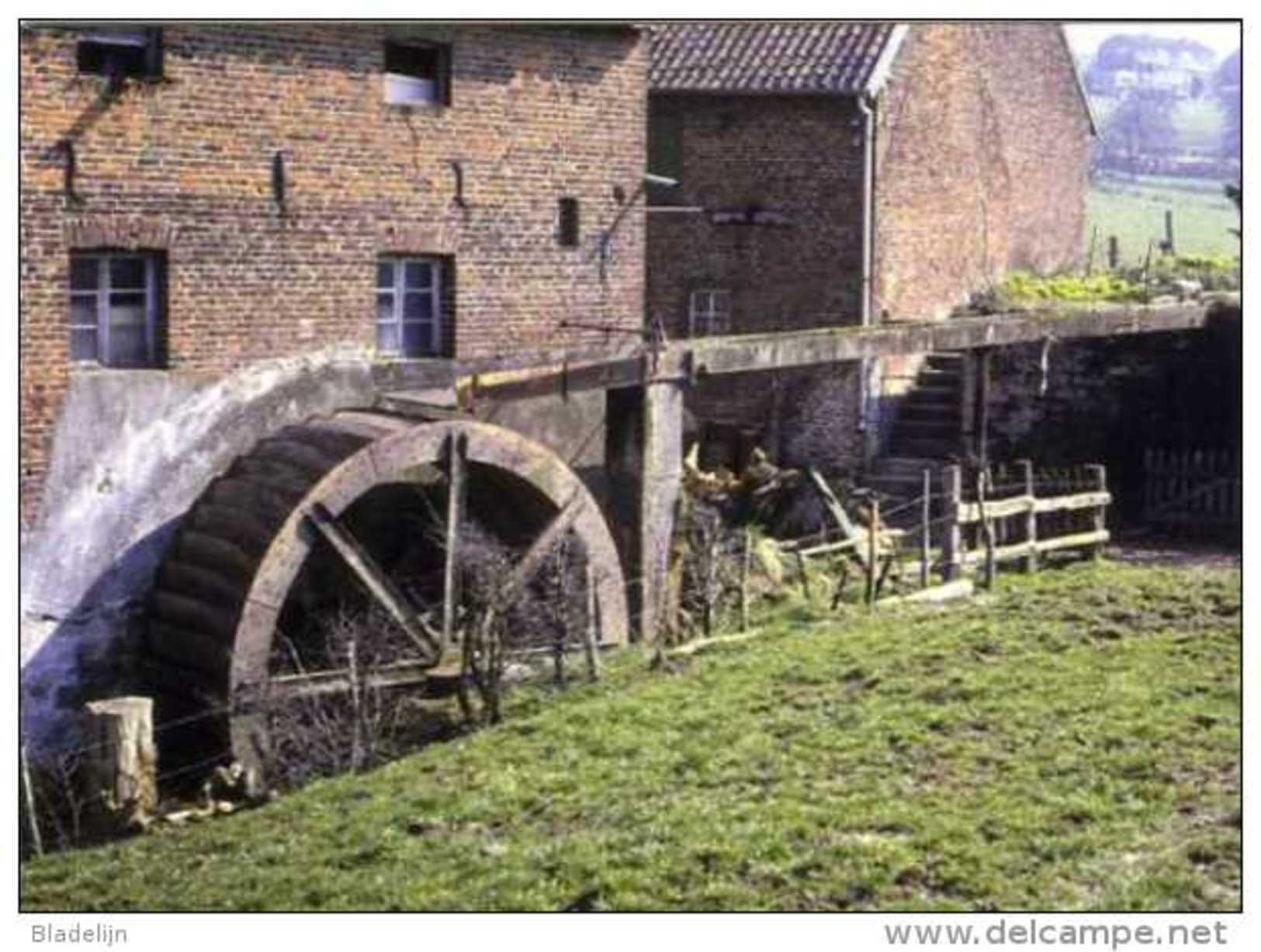 SINT-MARTENS-VOEREN (Limburg) - Molen/moulin - Historische Opname Van De Oude Molen Omstreeks 1980. Zeldzame Opname - Voeren