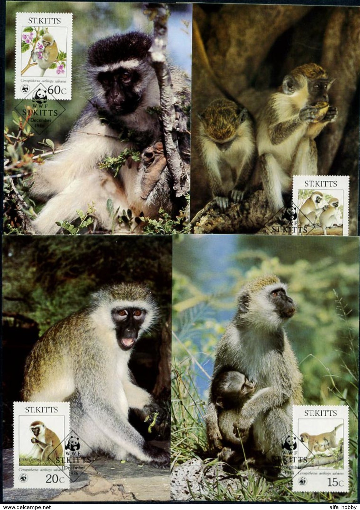 St. Kitts, 1986, Monkeys, WWF, 4 Maximum Cards - Maximumkaarten