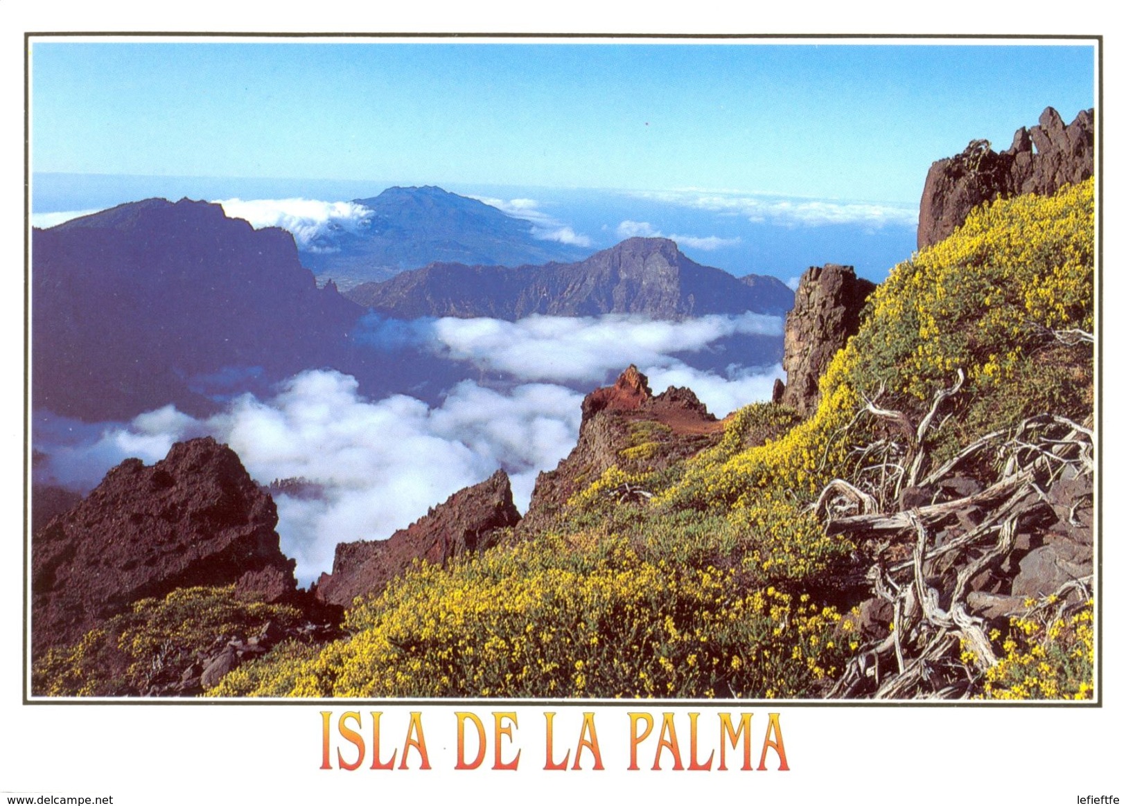 Espagne - Canaries - La Palma - Caldera De Taburiente - Vista Desde Los Andenes - Santos Cabrera Nº 306 - Neuve - 1607 - La Palma