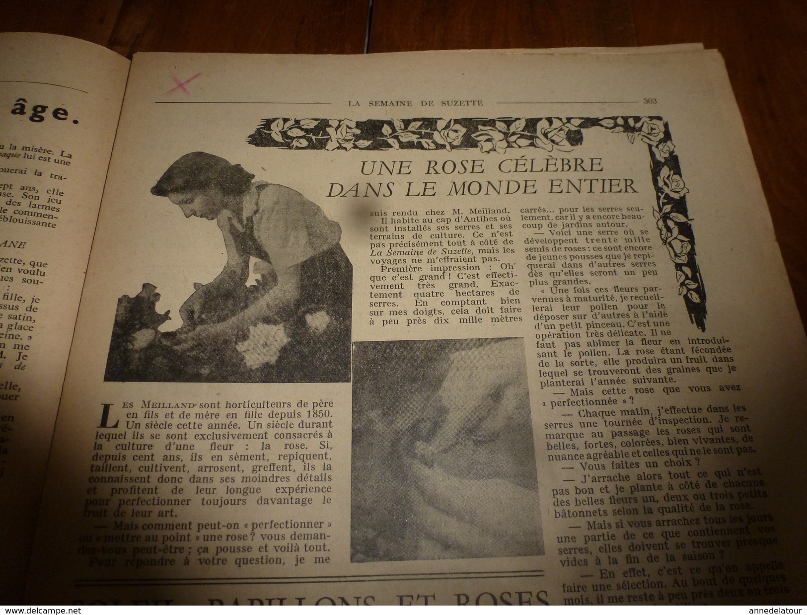 1950  LSDS  Une ROSE Célèbre Dans Le Monde Entier Et Les MEILLAND ; Zette Et Zil Et Les Diablotins; Etc - La Semaine De Suzette