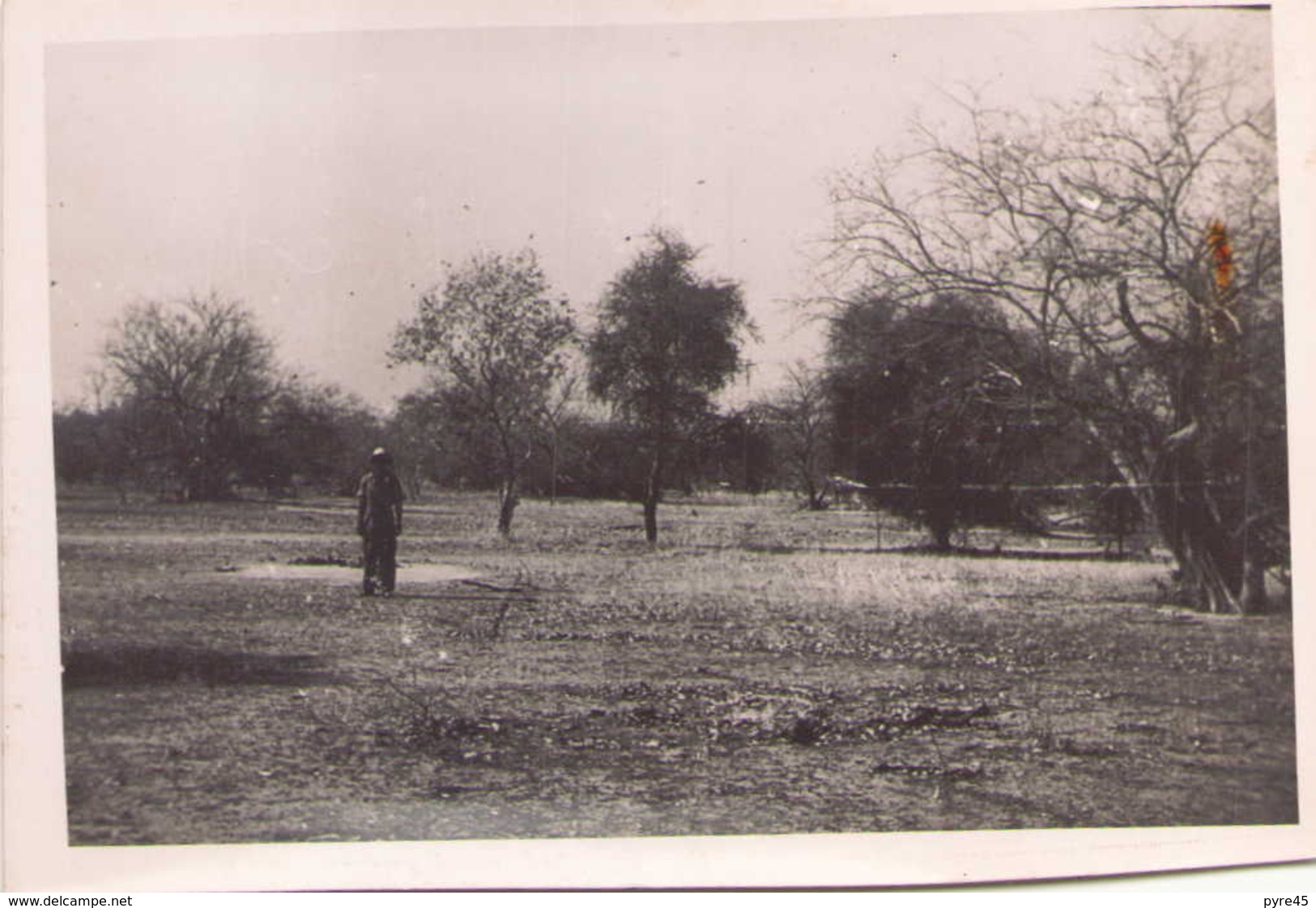 Photo 13 X 9 Cm Homme Et Arbres - Lieux