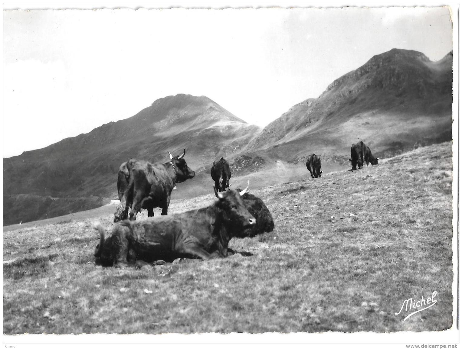 CPA..  VUE DU COL DE REDONDET..LE PUY MARIE  ...LES VACHES..LE CANTAL TOURISTIQUE..TBE ..SCAN - Sonstige & Ohne Zuordnung