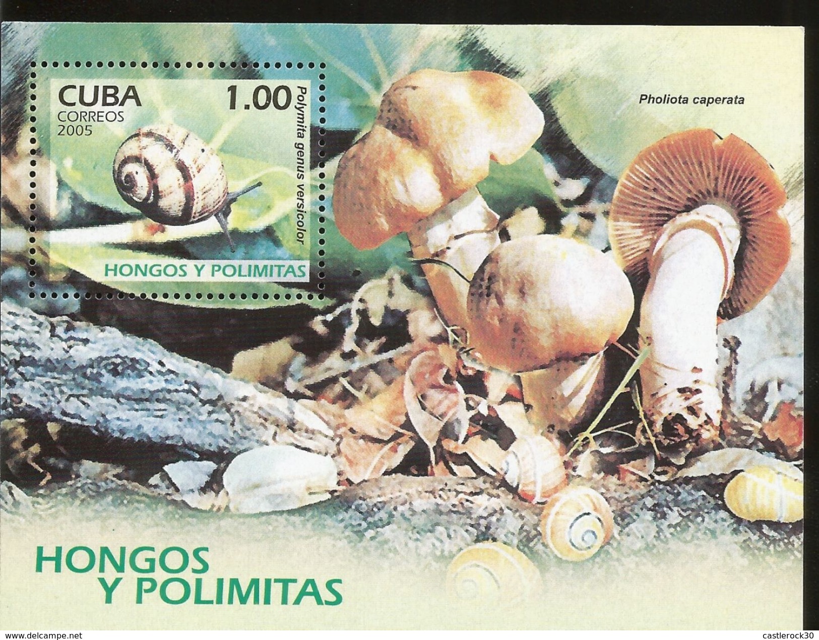 J) 2005 CUBA-CARIBE, FUNGI AND POLYMITTES, SNAIL, MUSHROOMS, LEAVES, SOUVENIR SHEET, MNH - Brieven En Documenten