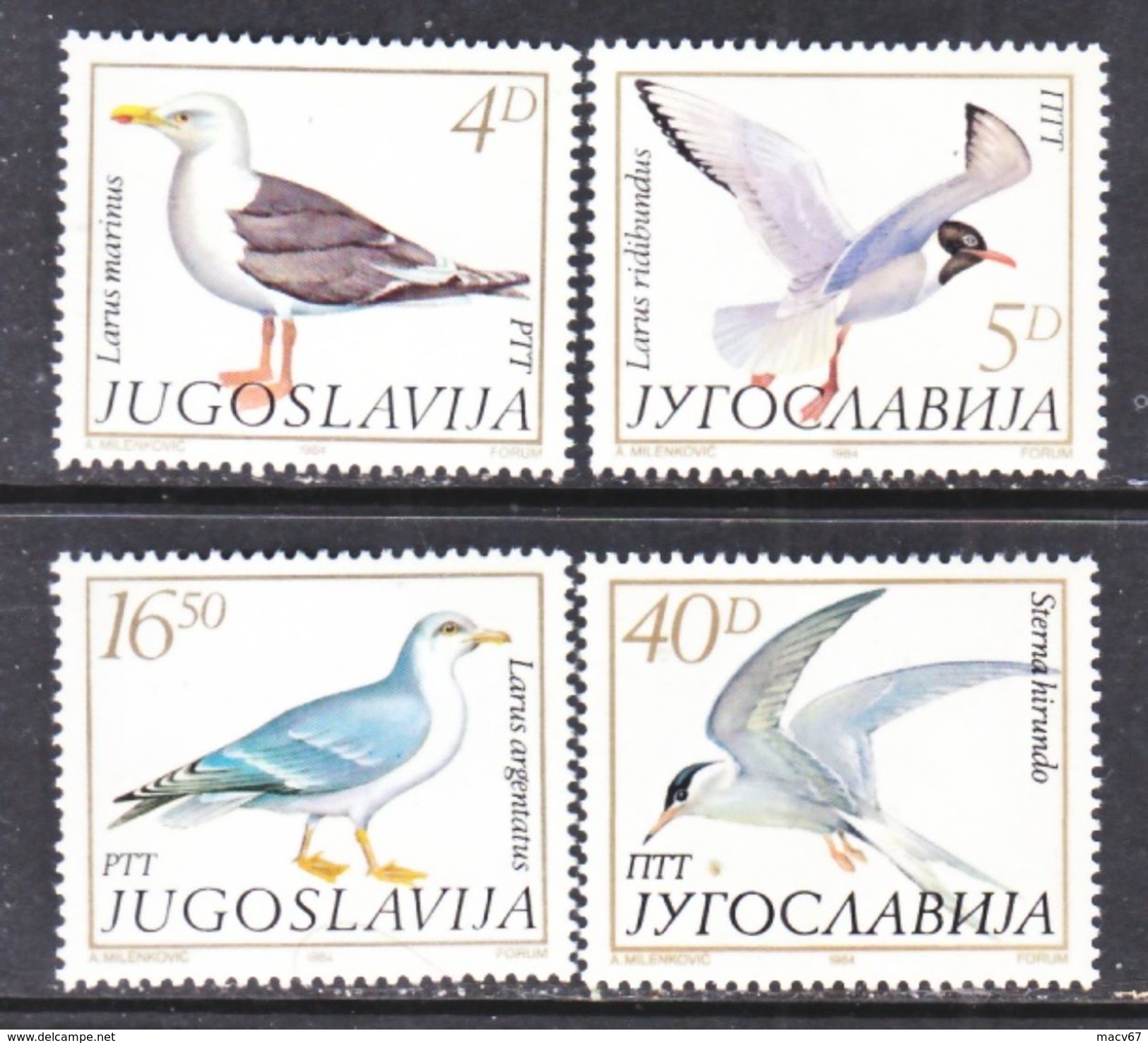 YUGOSLAVIA   1687-90   **   FAUNA   BIRDS - Marine Web-footed Birds