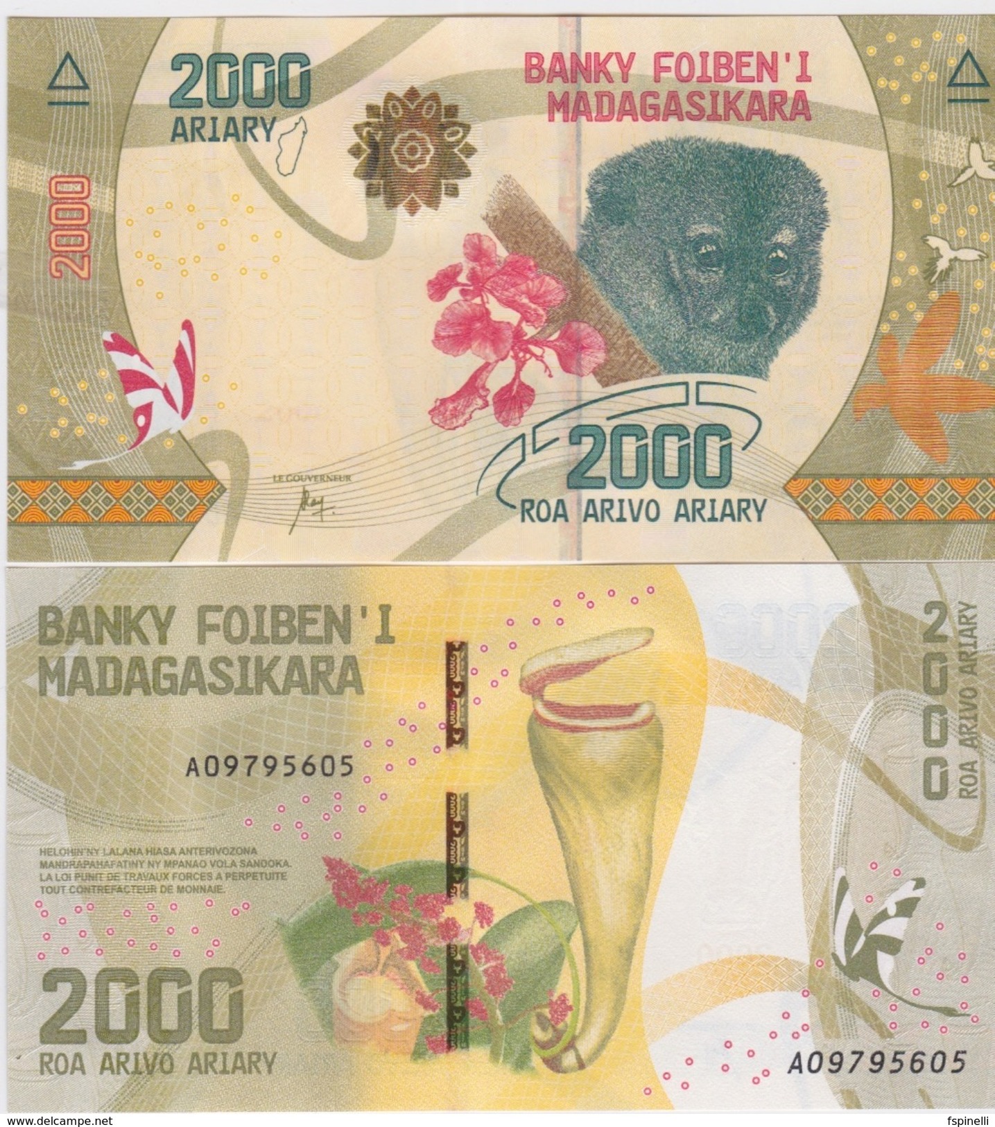 MADAGASCAR  Attractive  Newly Issued 2000 Ariary    Pnew   2017 UNC. - Madagascar