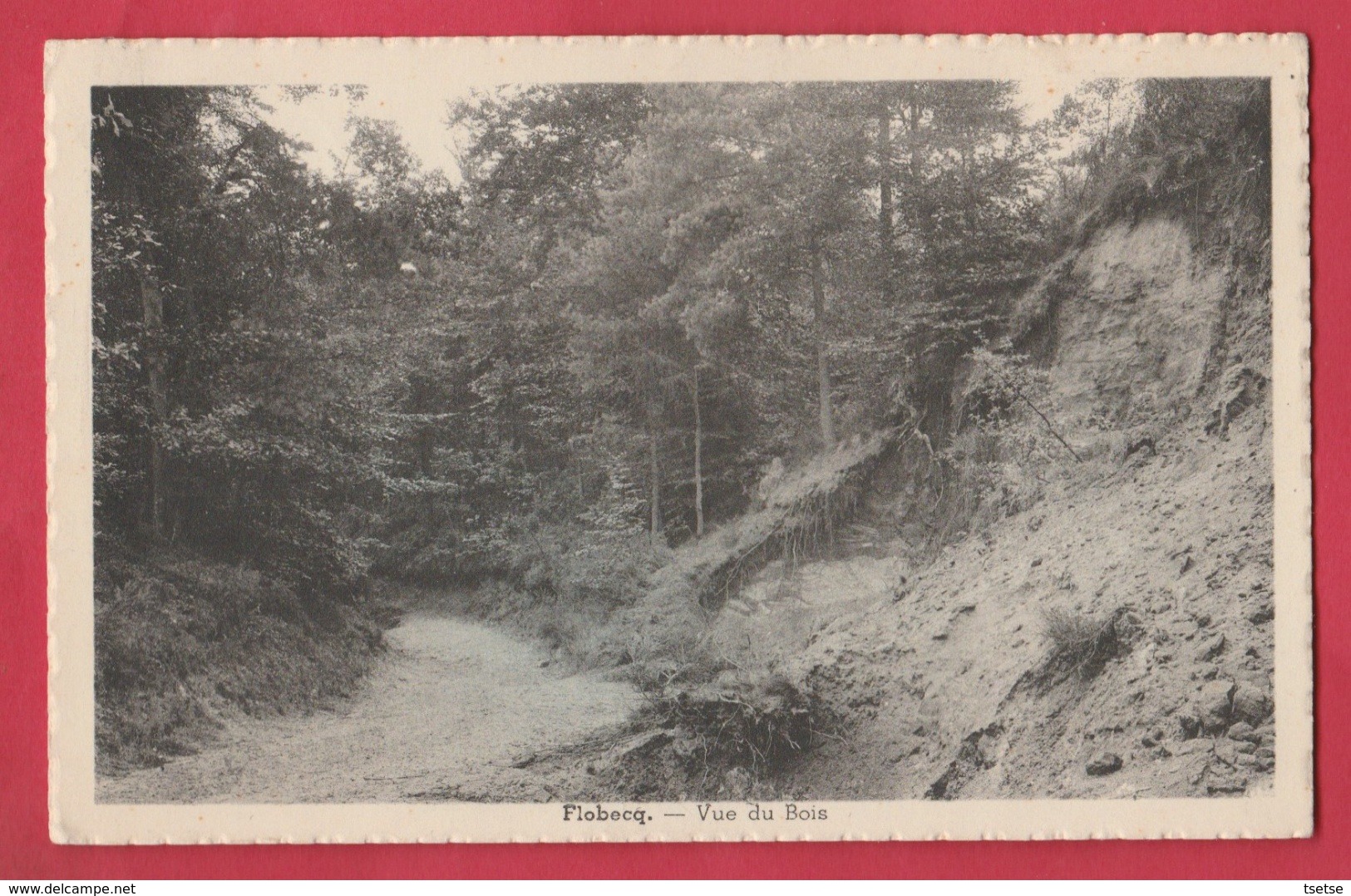 Flobecq - Vue Du Bois ( Voir Verso ) - Flobecq - Vloesberg