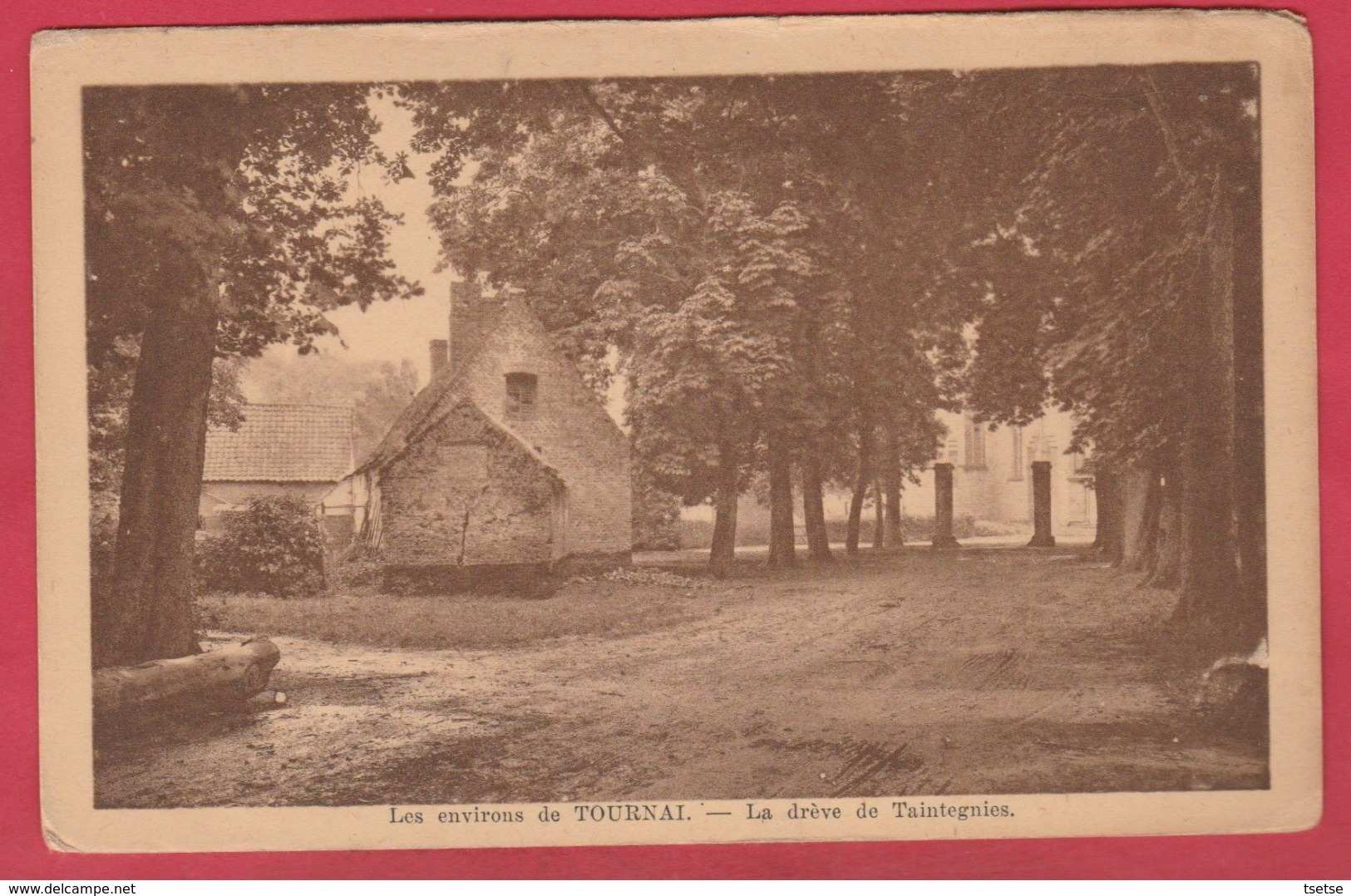 Taintegnies - La Drève ( Voir Verso ) - Rumes