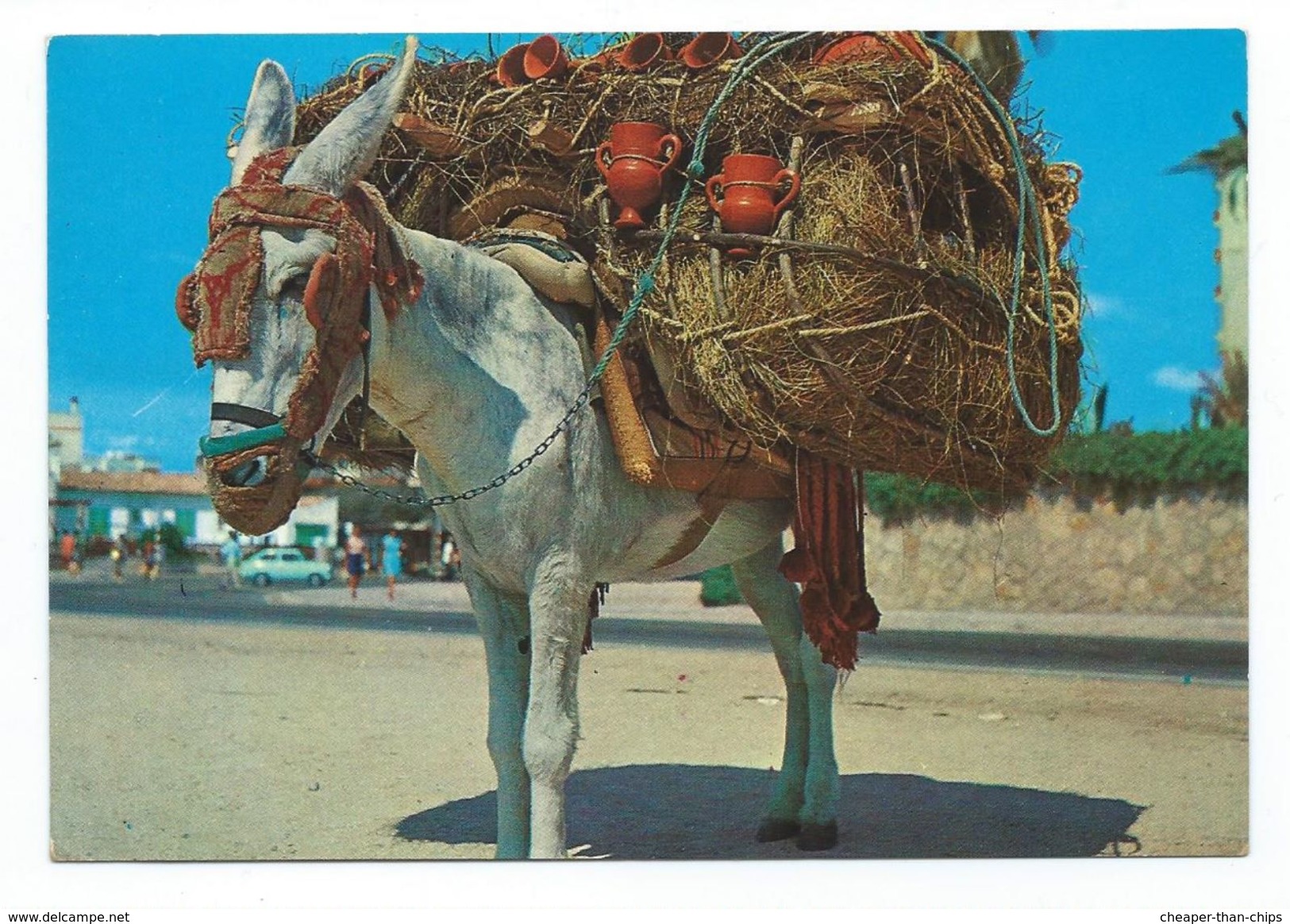 Montura Del Botijero Andaluz - Donkeys