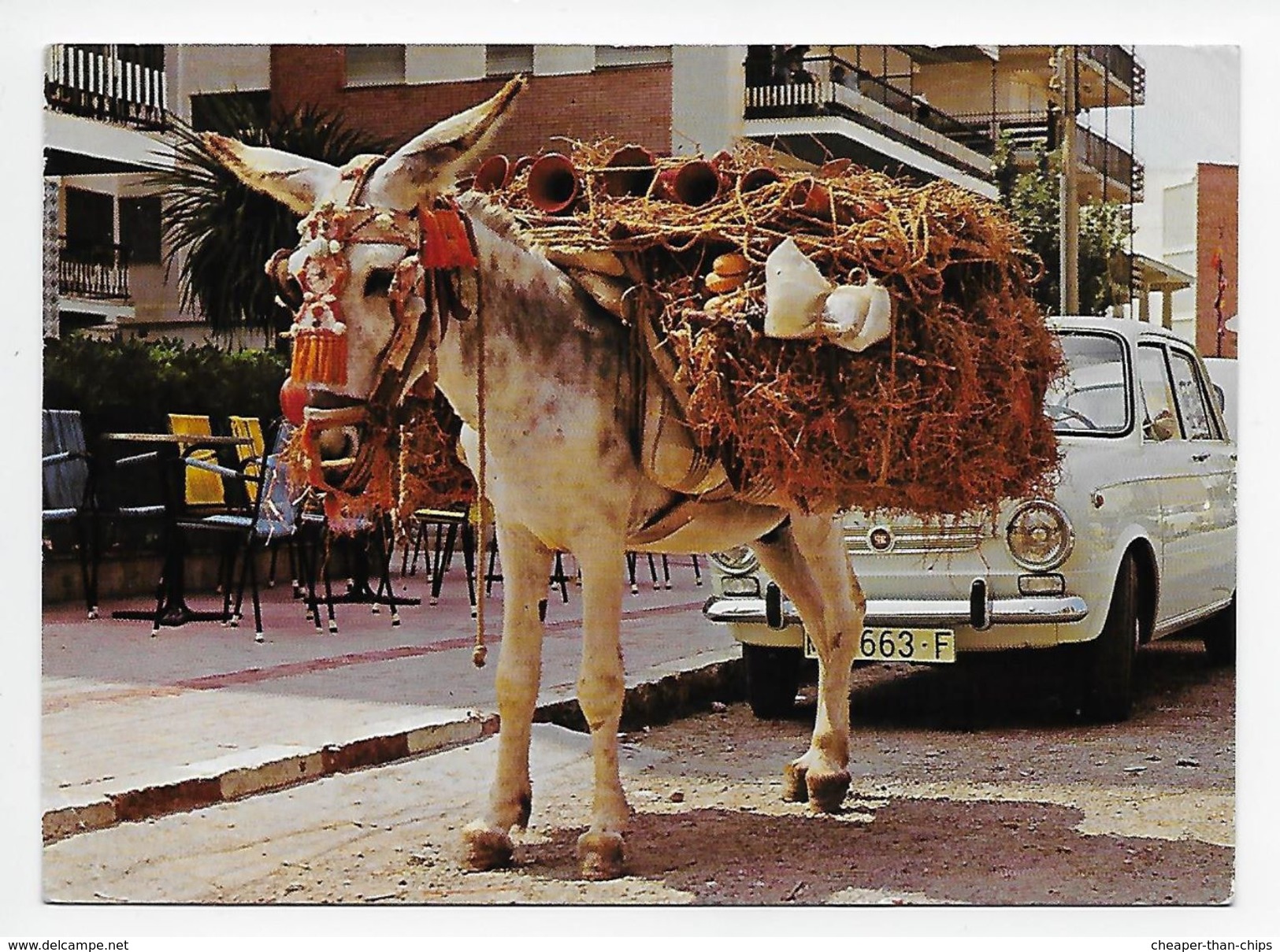 El Burrito Botijero - Donkeys