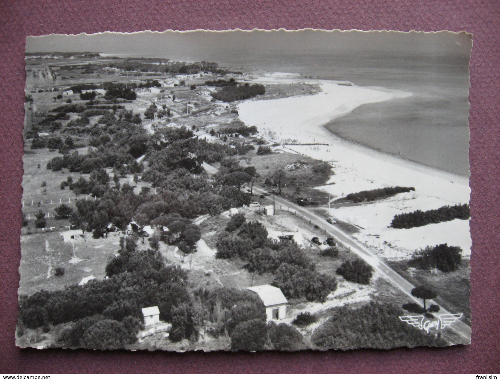 CPA CPSM PHOTO 17 ILE D'OLERON Vue Aérienne Plage Du Douhet Et De Plaisance 1950 1960 - Ile D'Oléron