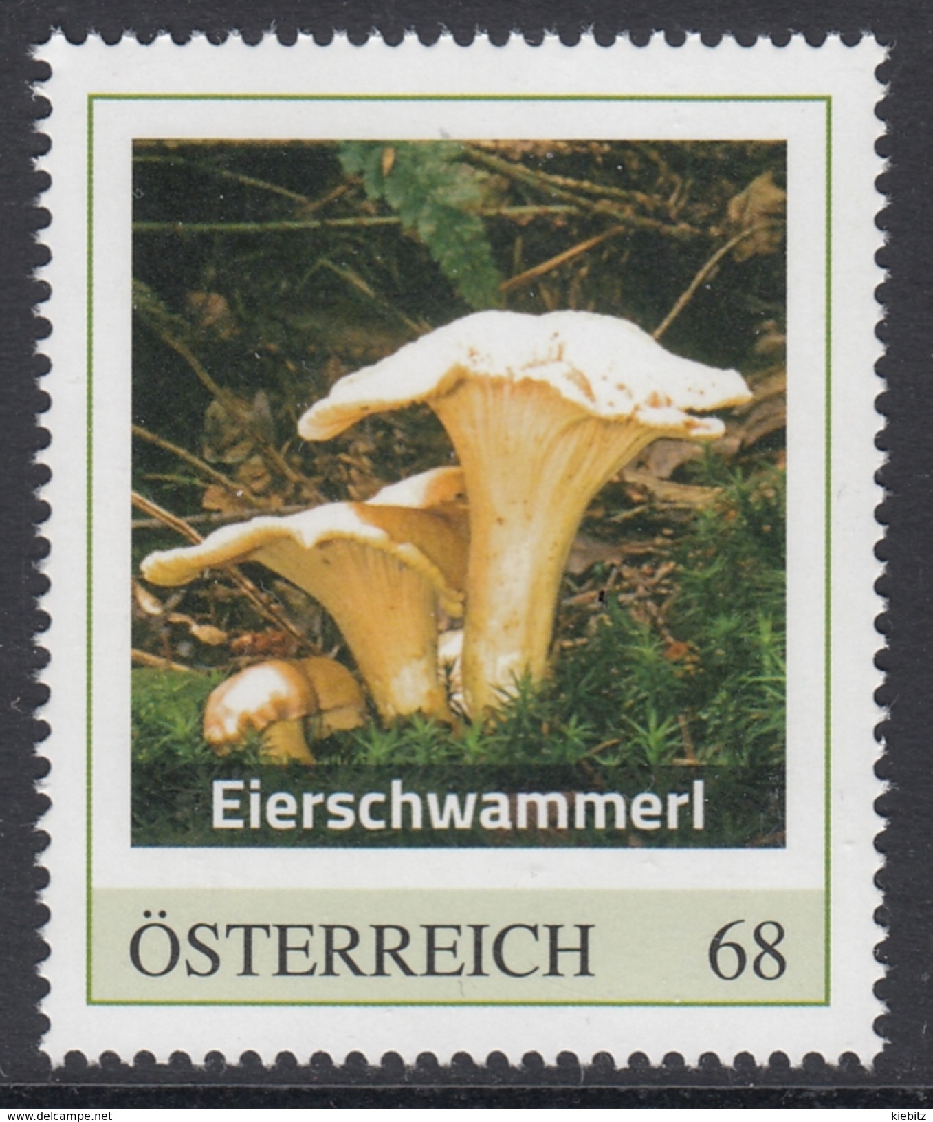 ÖSTERREICH 2017 ** Pilze,Eierschwammerl, Pfifferling / Cantharellus Cibarius - PM Personalized Stamp MNH - Pilze