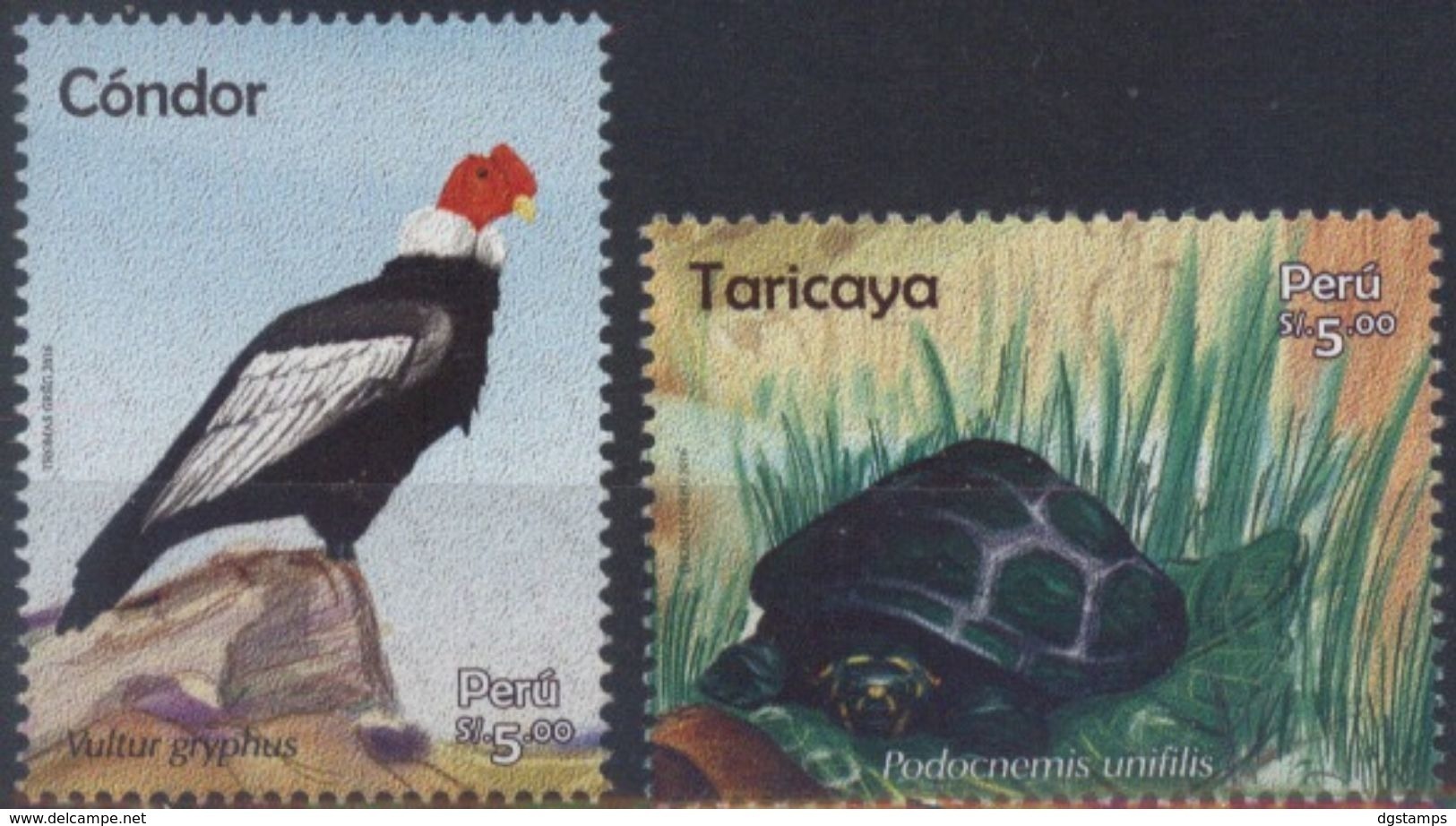 Peru 2017 ** Fauna: Condor. Tortuga. See Desc. - Peru