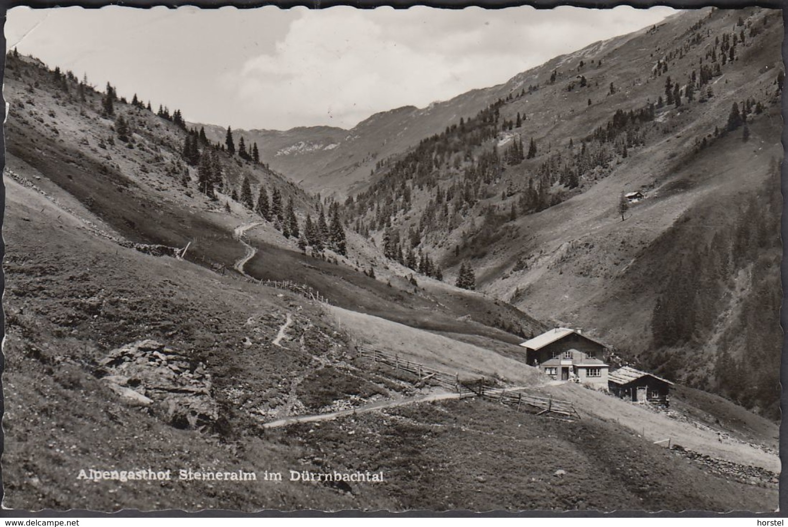 Austria - 5741 Neukirchen Am Großvenediger - Alpengasthof Steineralm Im Dürrnbachtal ( Echt Foto) - Neukirchen Am Grossvenediger