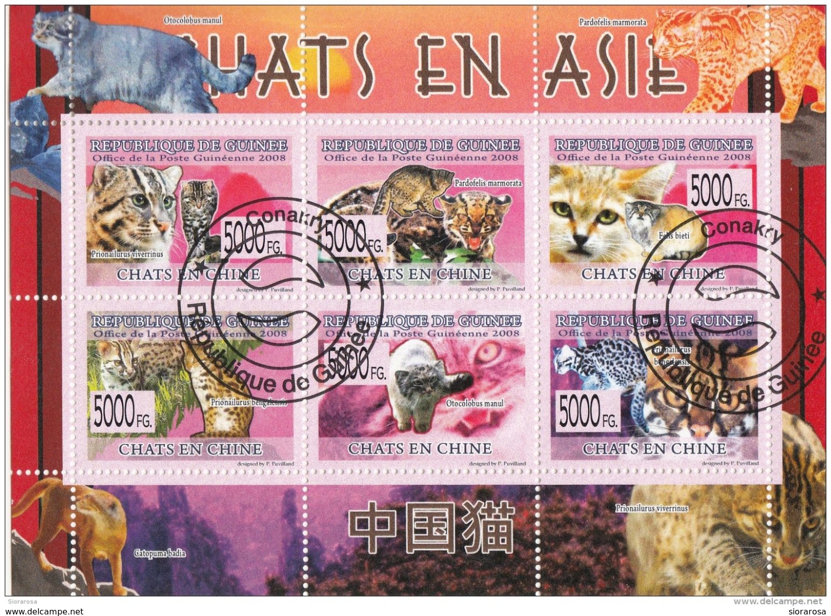 6088 Guinea 2008 Asian Cats Chats En Asie Gatti Asia CTO Perf. Guinee - Guinea (1958-...)