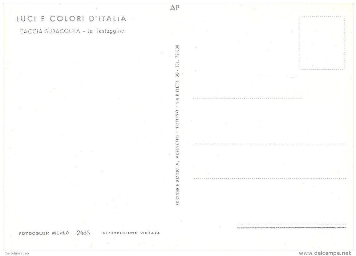 [DC11076] CPA - LUCI E COLORI D'ITALIA - CACCIA SUBACQUEA - LA TESTUGGINE - Non Viaggiata - Old Postcard - Caccia