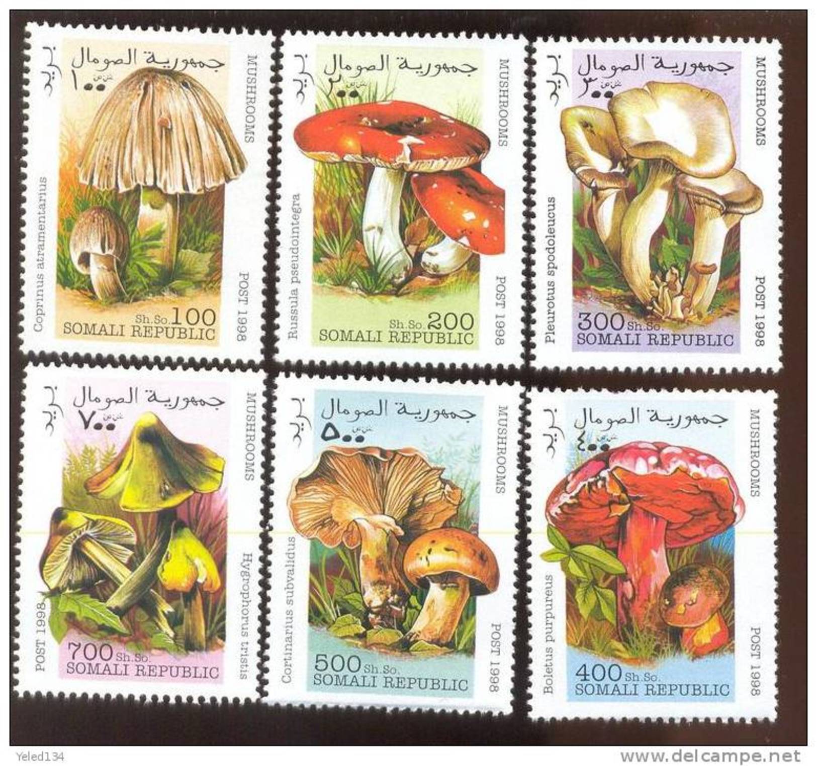 SOMALIA   1998  34  MINT NEVER HINGED SET OF STAMPS OF MUSHROOMS - Hongos