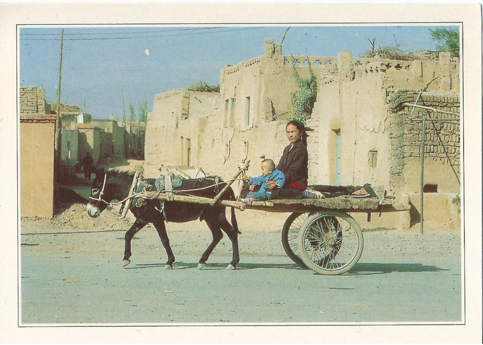 CPM  ___ Chine - Xin Jiang -- Charrettes Typiques à Turfan - Cina