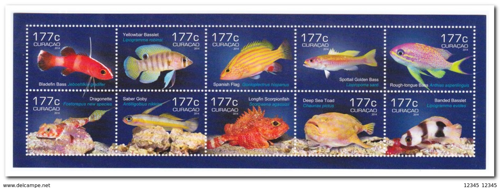 Curacao 2014, Postfris MNH, Fish - Ongebruikt