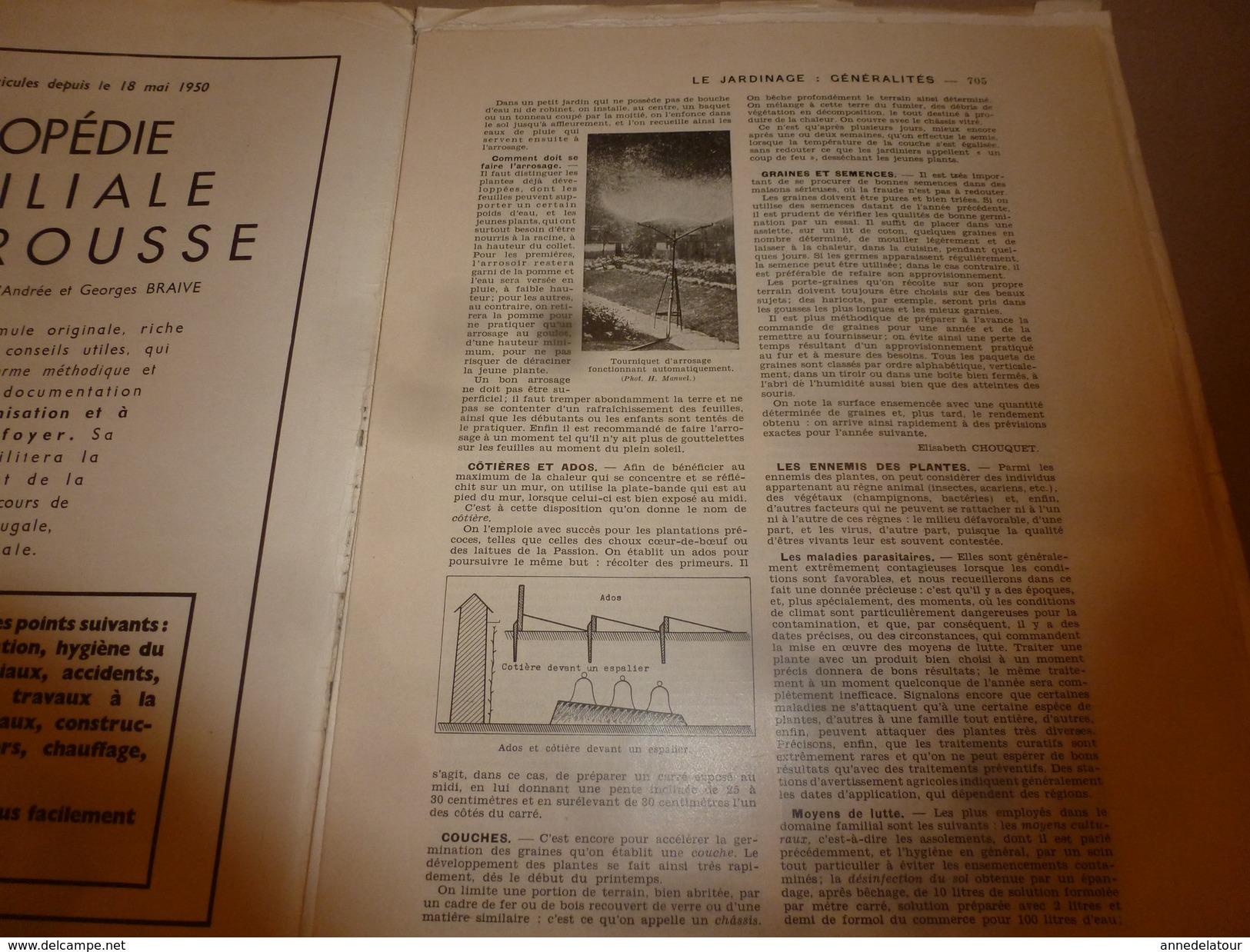 1950 ENCYCLOPEDIE FAMILIALE LAROUSSE ->Tous Les JARDINAGES (potager,fruitier,fleurs,ornement,etc) - Enzyklopädien