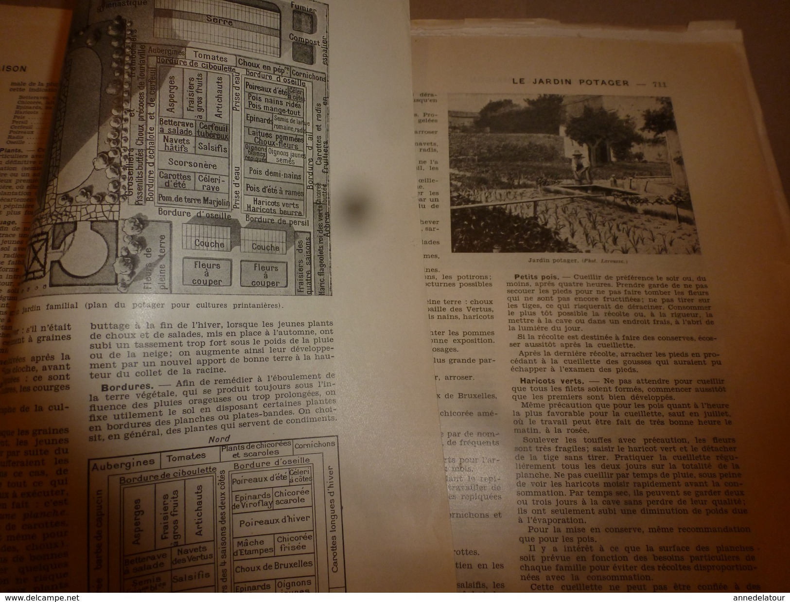 1950 ENCYCLOPEDIE FAMILIALE LAROUSSE ->Tous Les JARDINAGES (potager,fruitier,fleurs,ornement,etc) - Enciclopedie