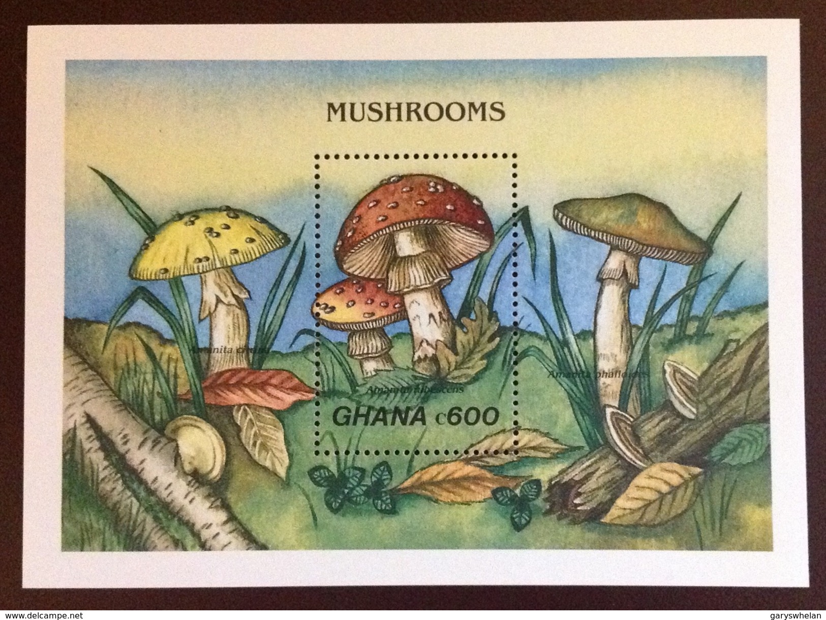 Ghana 1989 Mushrooms Minisheet MNH - Pilze