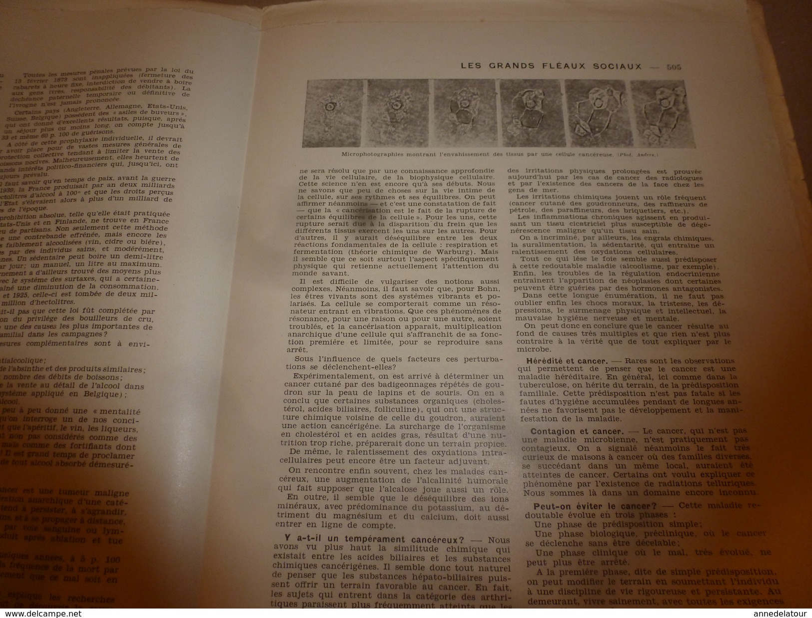 1950 ENCYCLOPEDIE FAMILIALE LAROUSSE ->Les maladies,Salle de séjour, Les grands fléaux sociaux, Les accidents