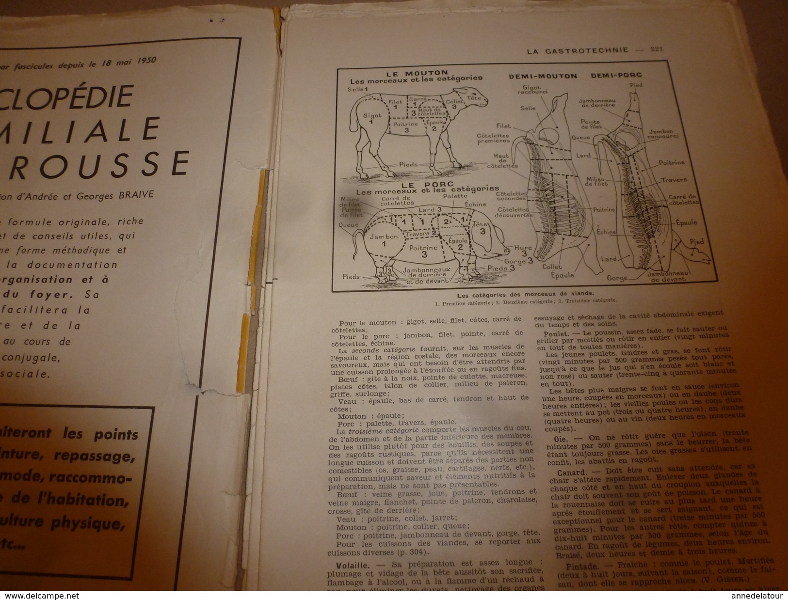 1950 ENCYCLOPEDIE FAMILIALE LAROUSSE ->Gastrotechnie, La Science Ménagère, Entretien De La Maison - Enciclopedias