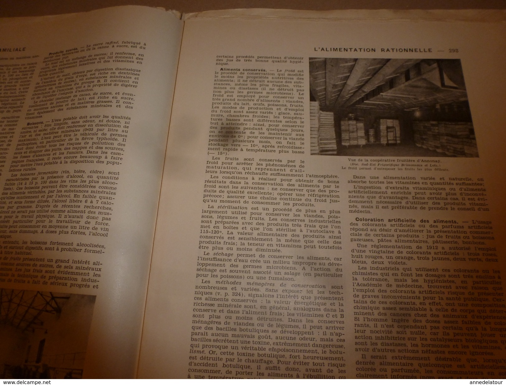 1950 ENCYCLOPEDIE FAMILIALE LAROUSSE -> L'alimentation Rationnelle, La Gastrotechnie - Enzyklopädien