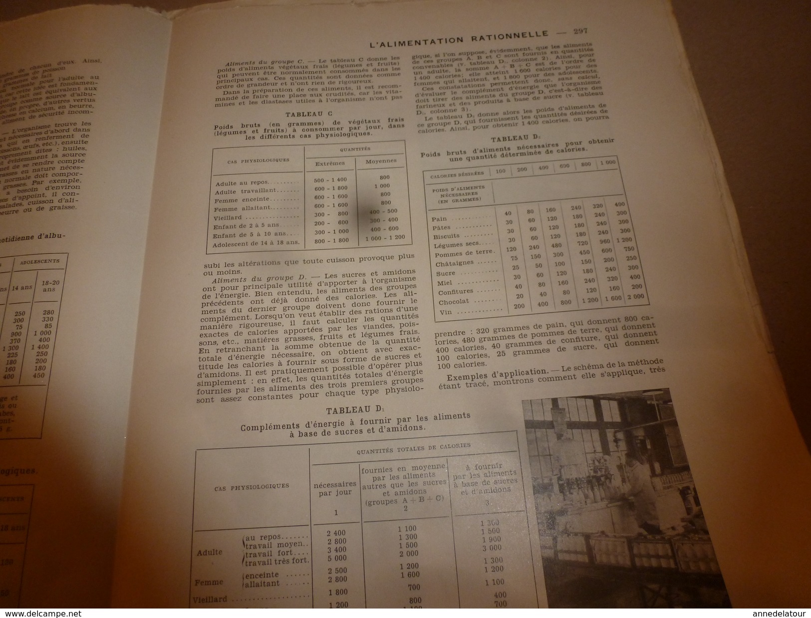 1950 ENCYCLOPEDIE FAMILIALE LAROUSSE -> L'alimentation Rationnelle, La Gastrotechnie - Encyclopaedia