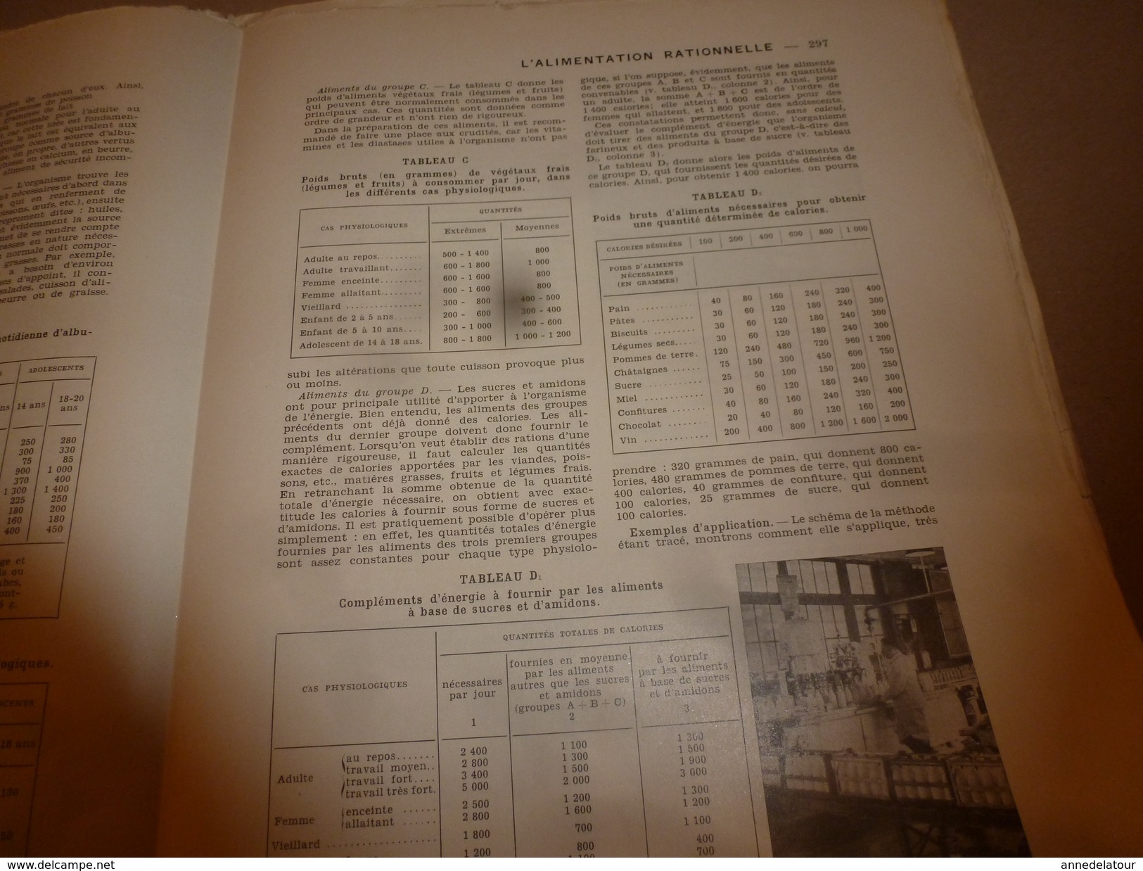 1950 ENCYCLOPEDIE FAMILIALE LAROUSSE -> L'alimentation Rationnelle, La Gastrotechnie - Encyclopédies