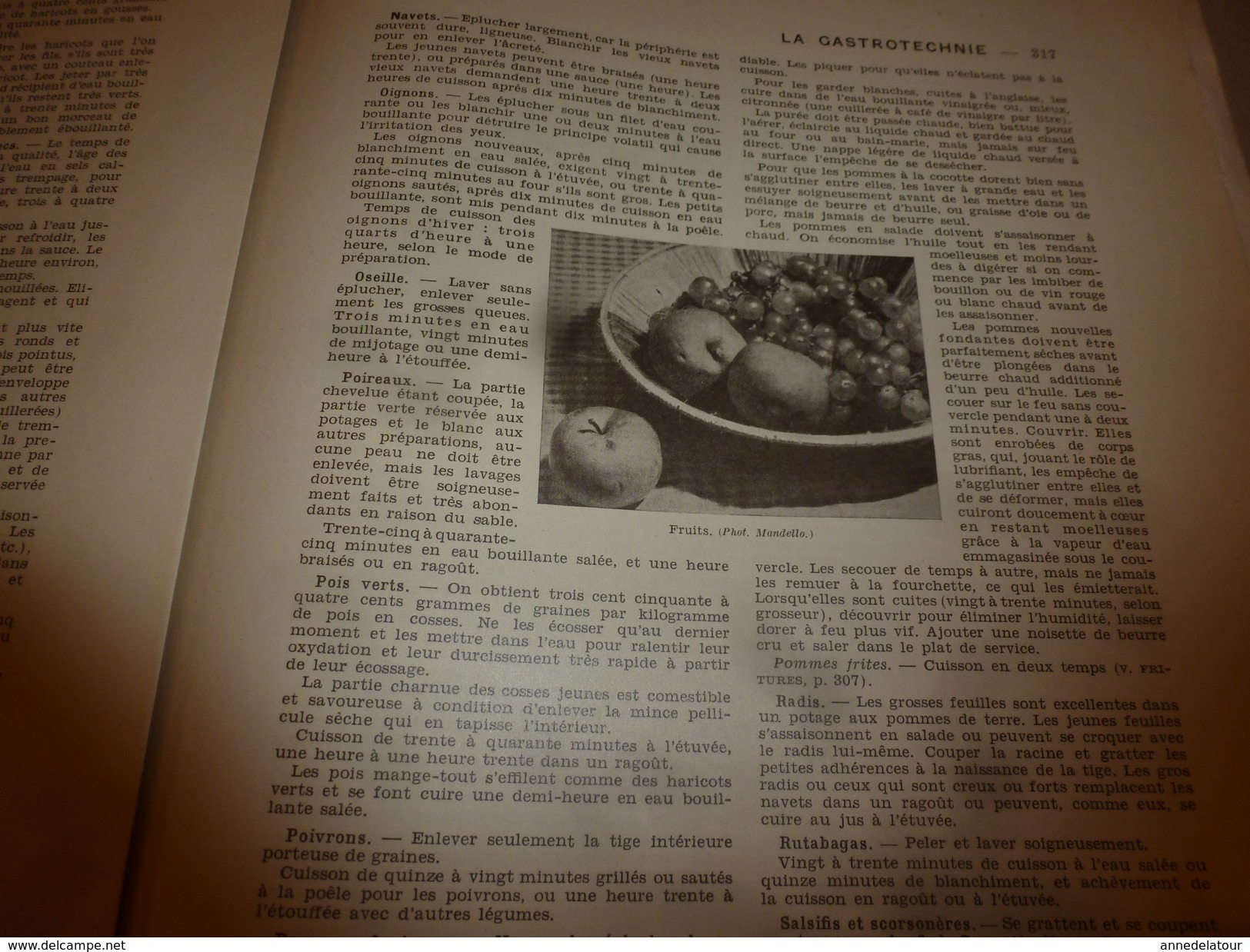 1950 ENCYCLOPEDIE FAMILIALE LAROUSSE -> L'alimentation rationnelle, La Gastrotechnie