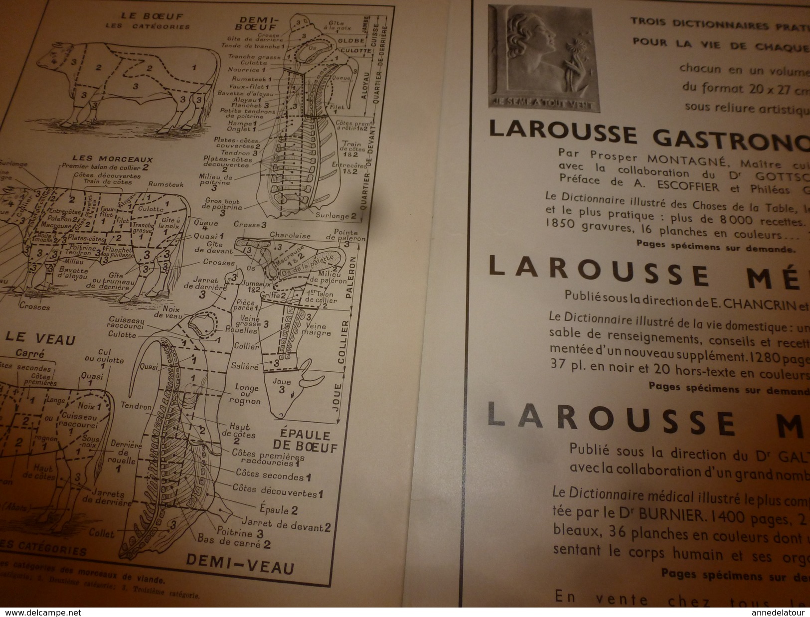 1950 ENCYCLOPEDIE FAMILIALE LAROUSSE -> L'alimentation rationnelle, La Gastrotechnie