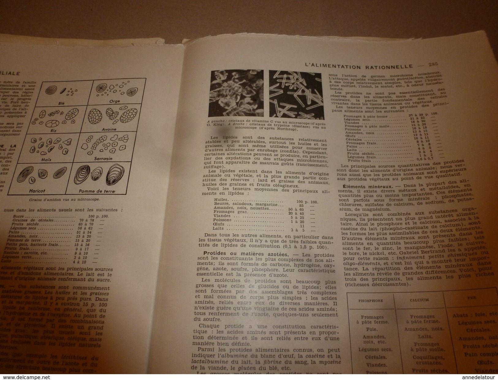 1950 ENCYCLOPEDIE FAMILIALE LAROUSSE -> Les achats , L'alimentation rationnelle