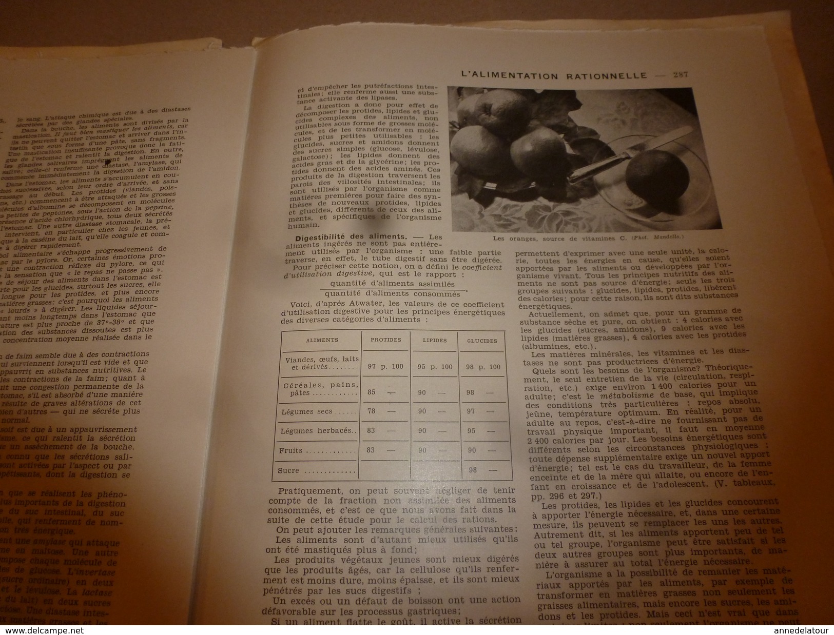 1950 ENCYCLOPEDIE FAMILIALE LAROUSSE -> Les achats , L'alimentation rationnelle