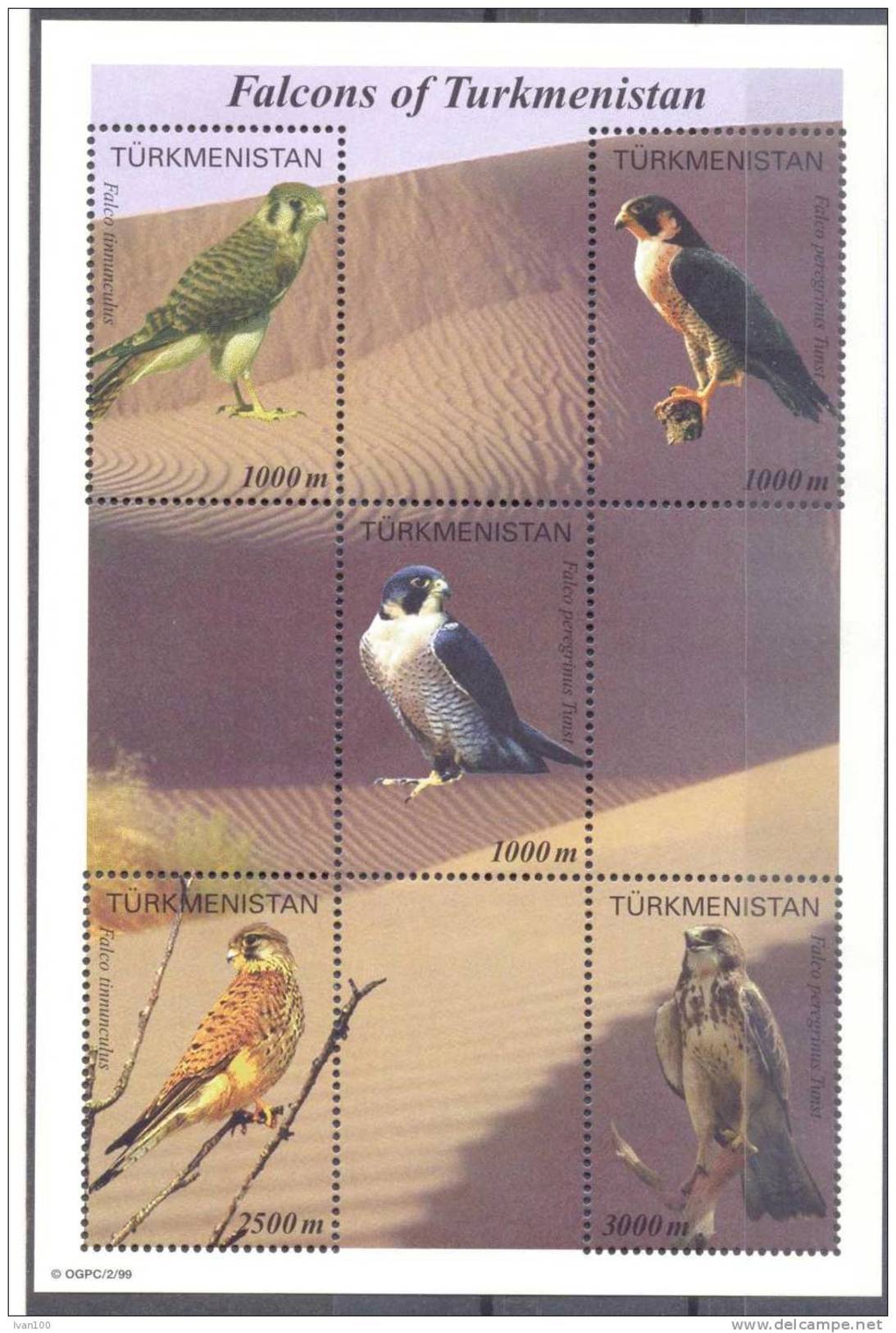 2000.  Turkmenistan, Falcons Of Turkmenistan, S/s, Mint/** - Turkmenistan