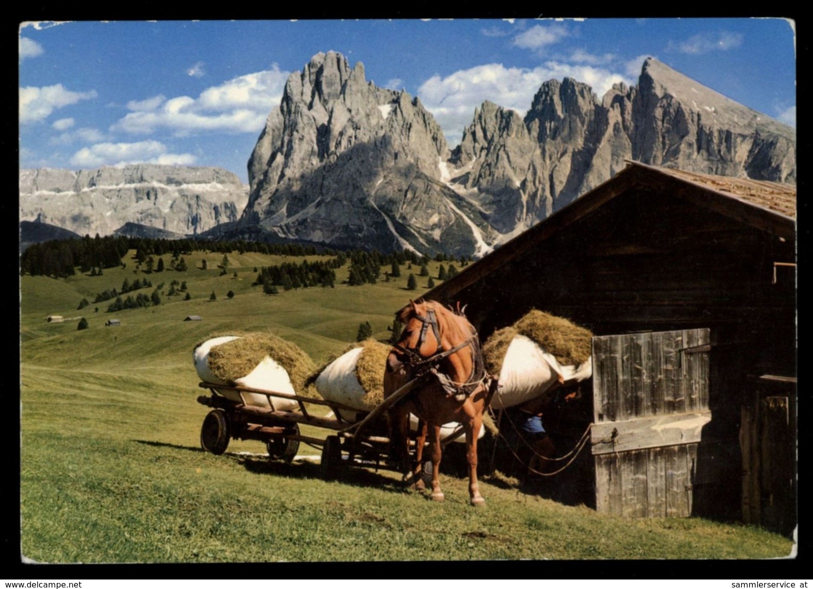 [015] Pferde-Karte 131, Leiterwagen, Seiseralm, Dolomiten, Südtirol, ~1980 - Paarden