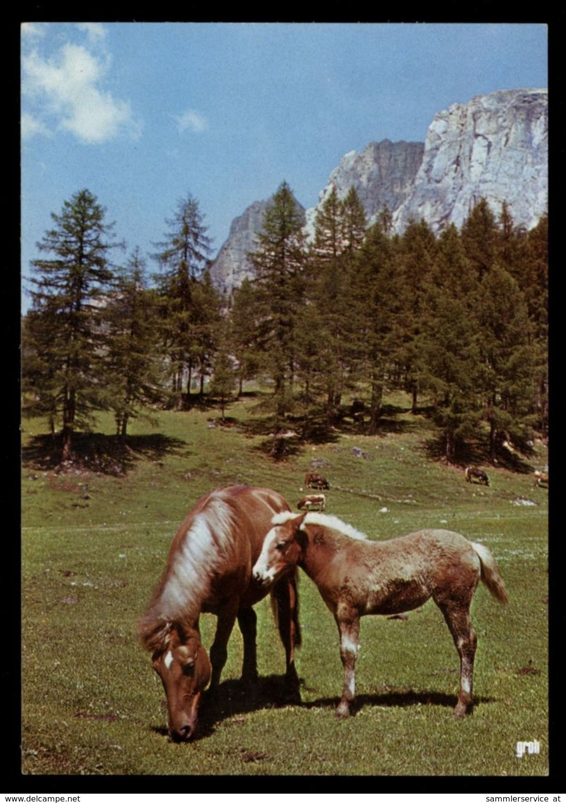 [015] Pferde-Karte 170, Stute Mit Fohlen, ~1980 - Cavalli