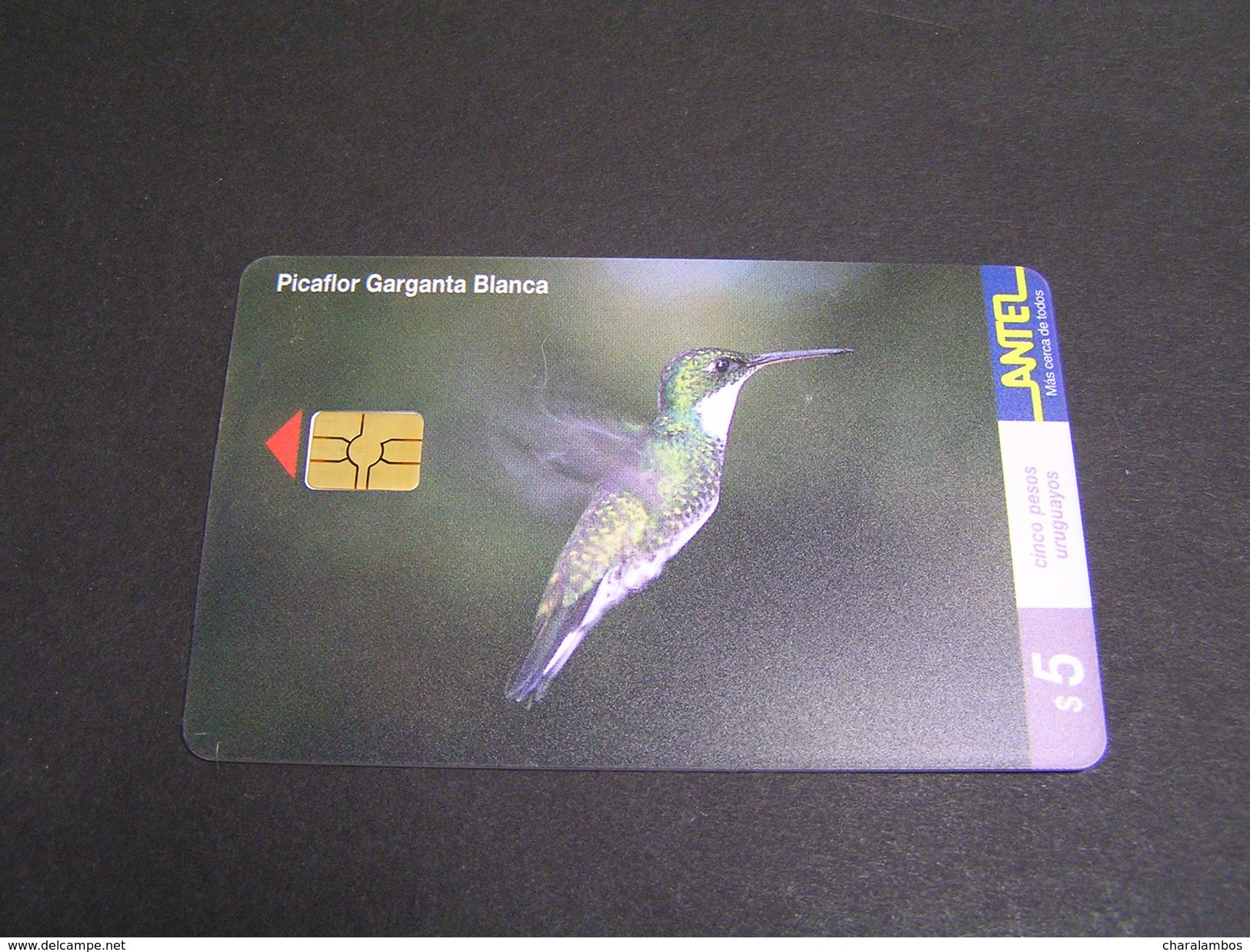 Uruguay Phonecards Animals123 A .. - Eagles & Birds Of Prey