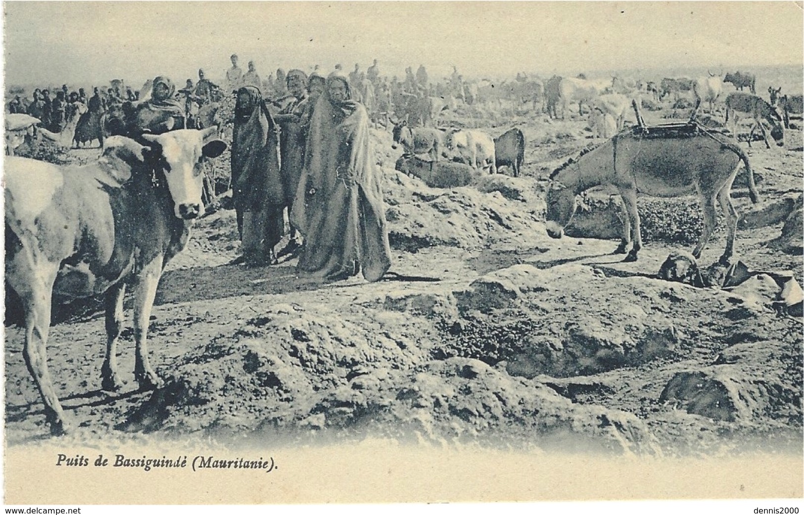 Puits De Bassiguindé  ( Mauritanie )  Ed. Lévy & Neurdein Réunis - Mauritania