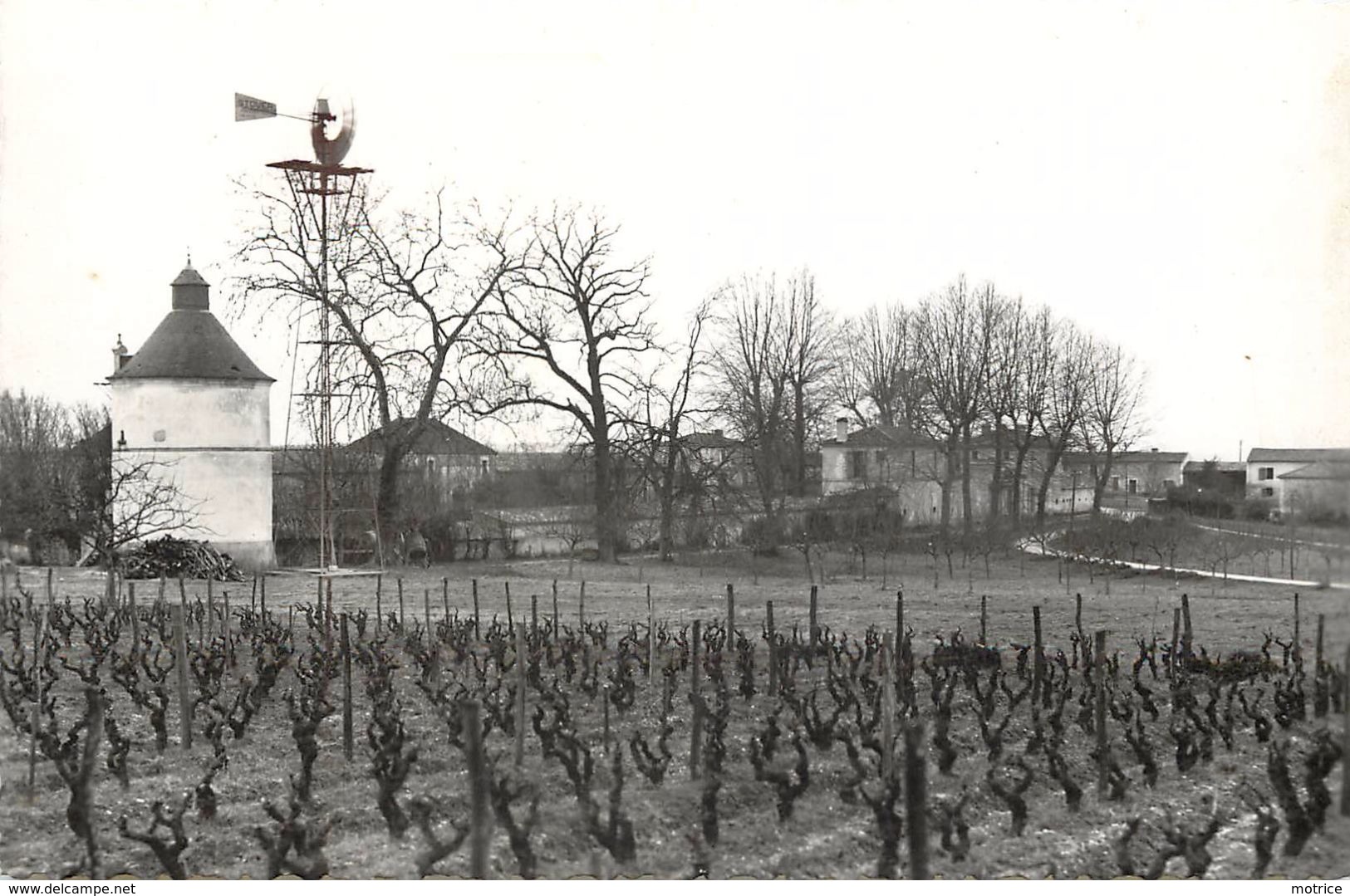 BOMMES SAUTERNES - Château De La Tour Blanche. - Autres & Non Classés