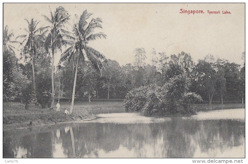 Singapour - Singapore - Tyersall Lake - Singapour