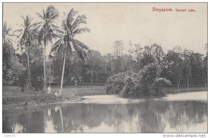 Singapour - Singapore - Tyersall Lake - Singapore