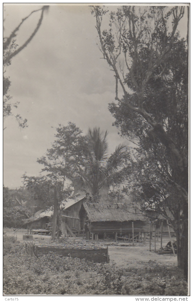 Indonésie - Indonesia -  Sumatra - Carte-Photo - Lahewa Nias Sumatra - Village - 1933 - Indonésie