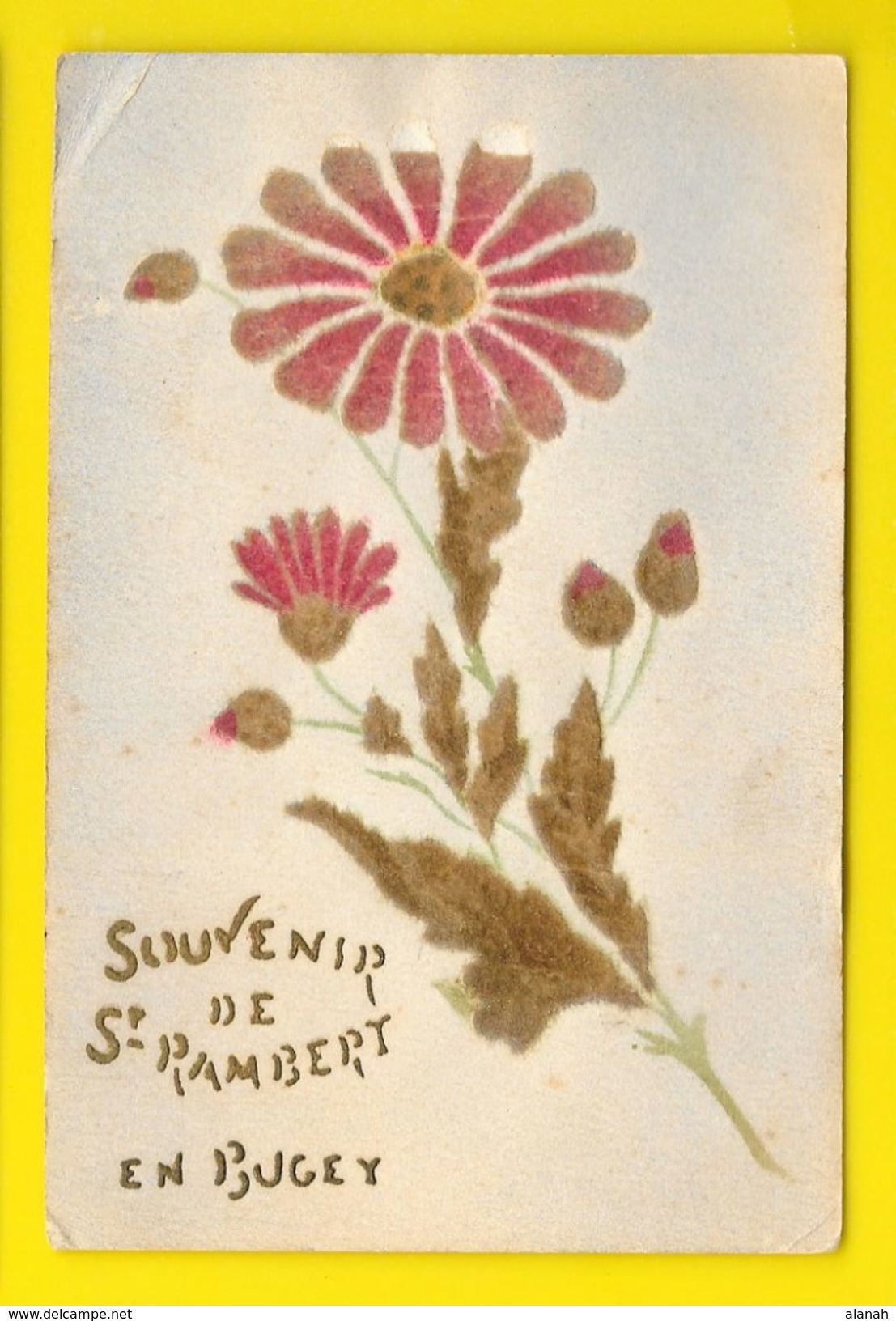 St RAMBERT En BUGEY Rare Fantaisie Souvenir Fleur Velours () Ain (01) - Non Classés