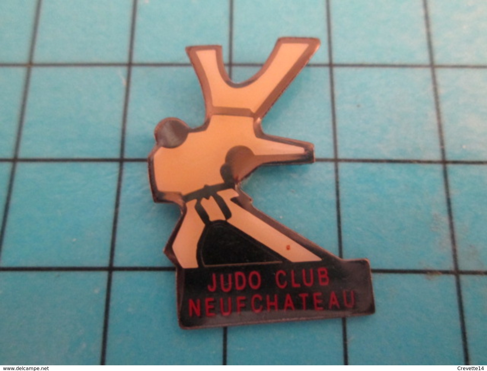 Pin414a Pin's Pins / Beau Et Rare / SPORTS  : CLUB DE JUDO NEUFCHATEAU - Judo